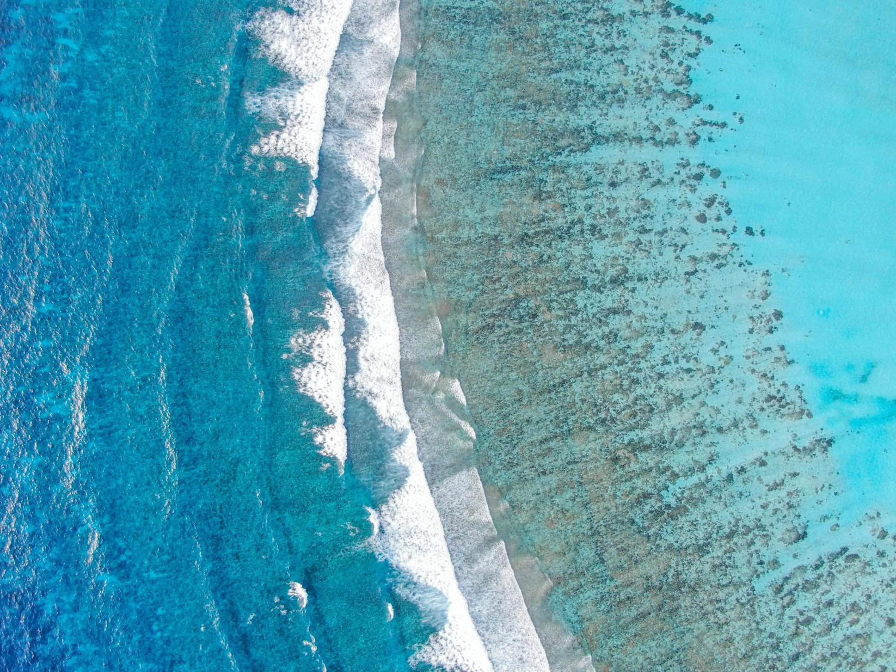 Natural landscape in Jeym Lodge