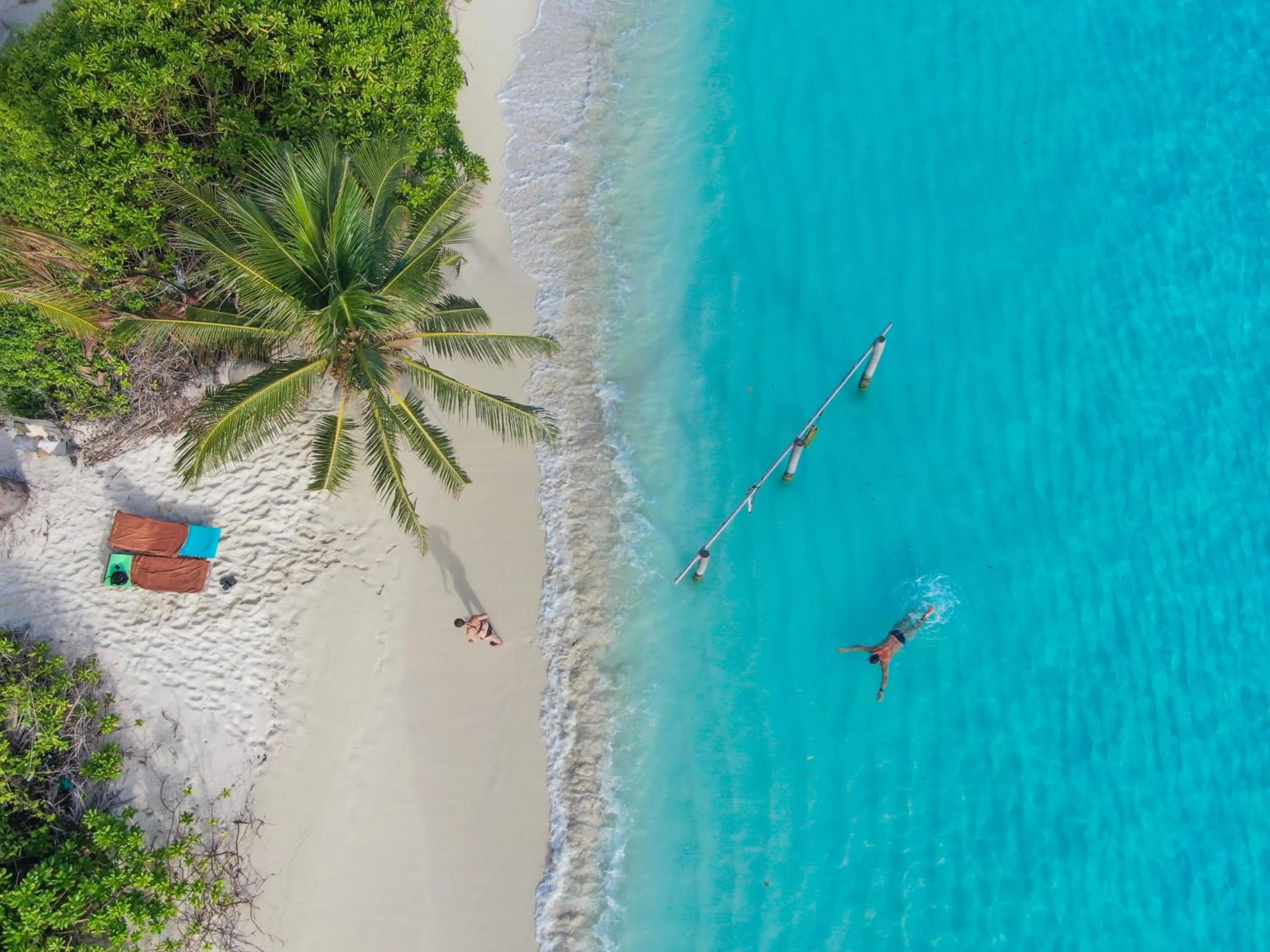 Bird's eye view in Jeym Lodge