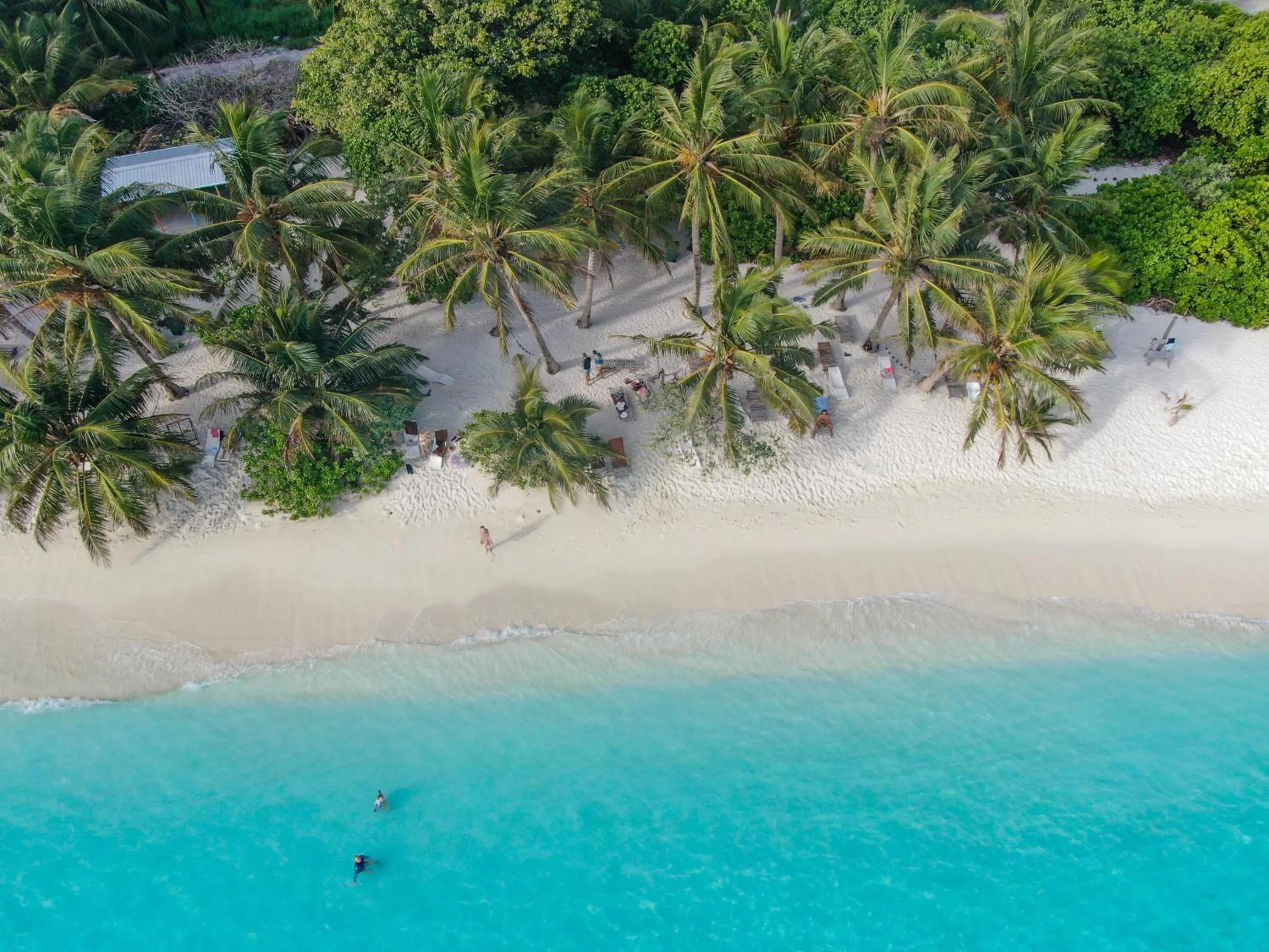 Bird's eye view in Jeym Lodge