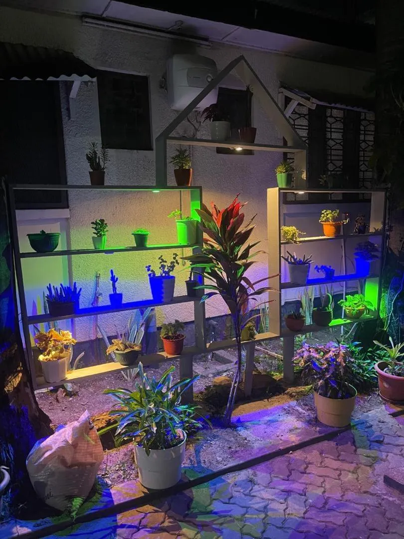 Garden view in L&J Modern Backpackers Kinondoni