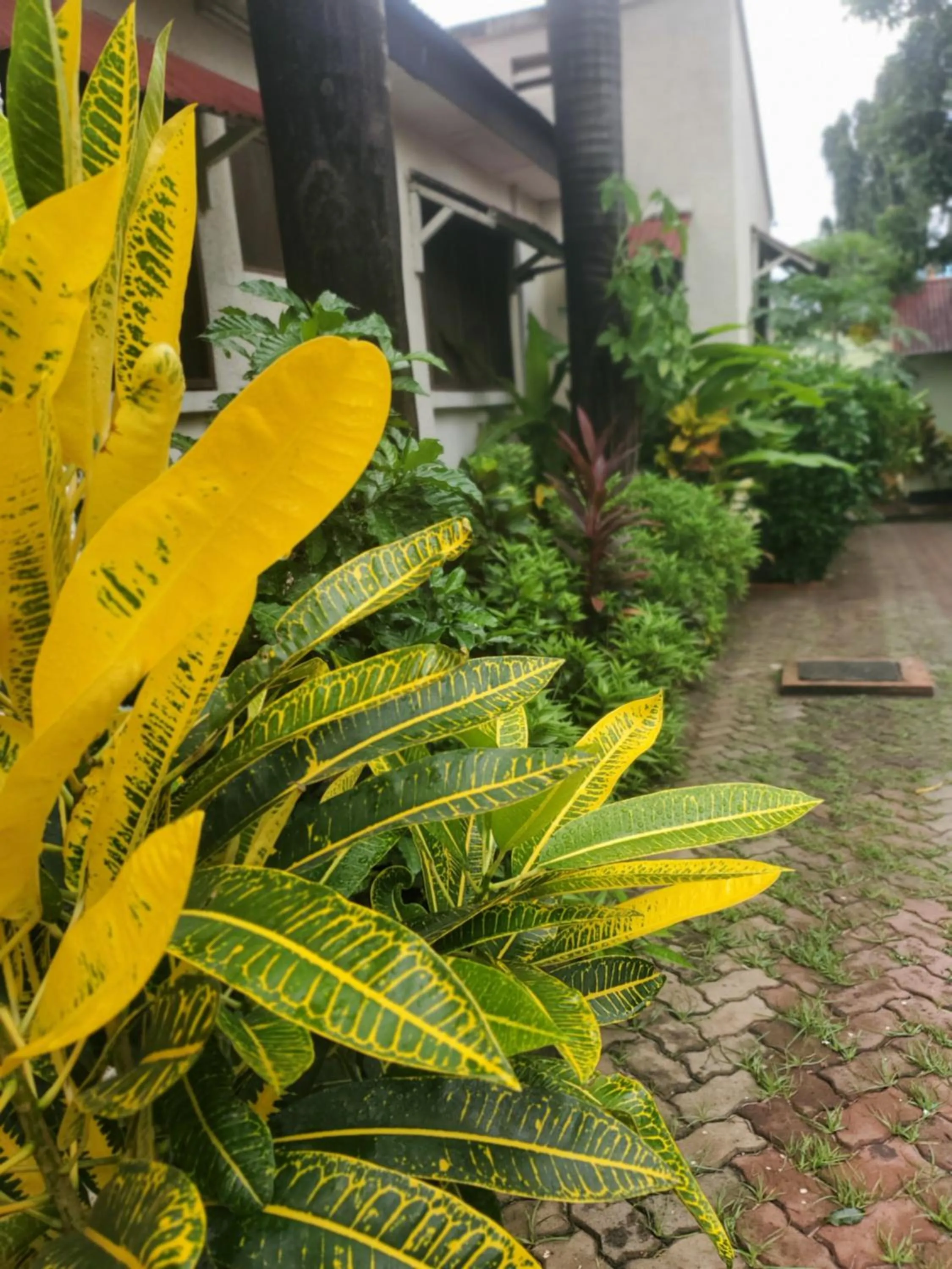 Property building in L&J Modern Backpackers Kinondoni