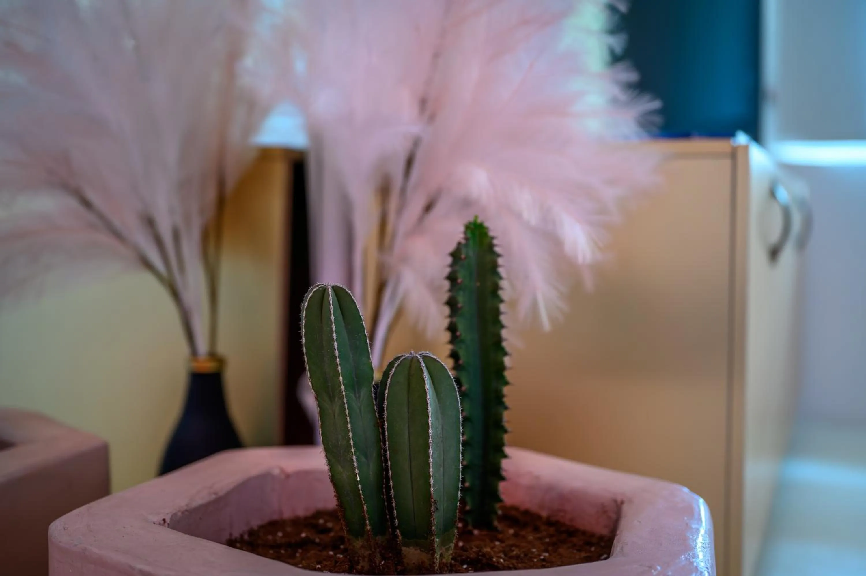 Decorative detail in Canyon Santorini