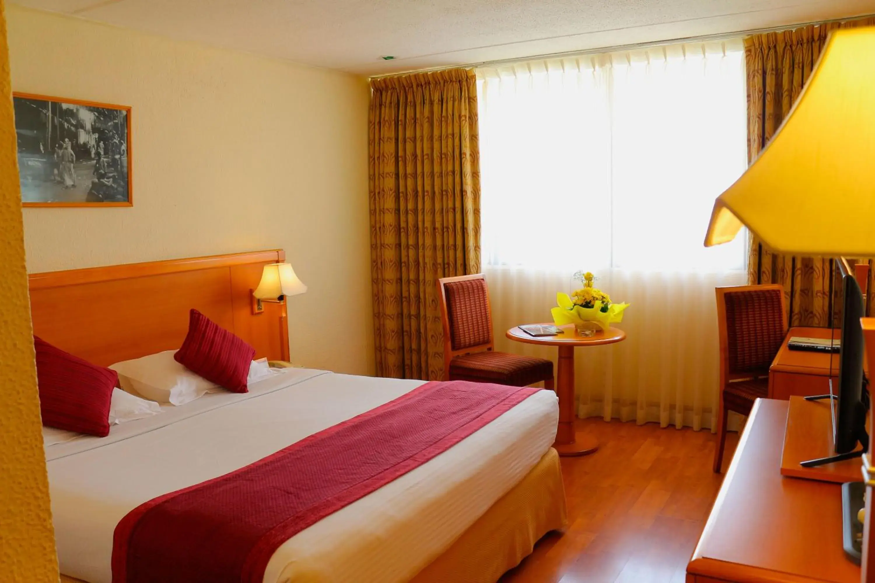 City View - single occupancy in Lou'lou'a Beach Resort Sharjah City View - single occupancy in Lou'lou'a Beach Resort Sharjah