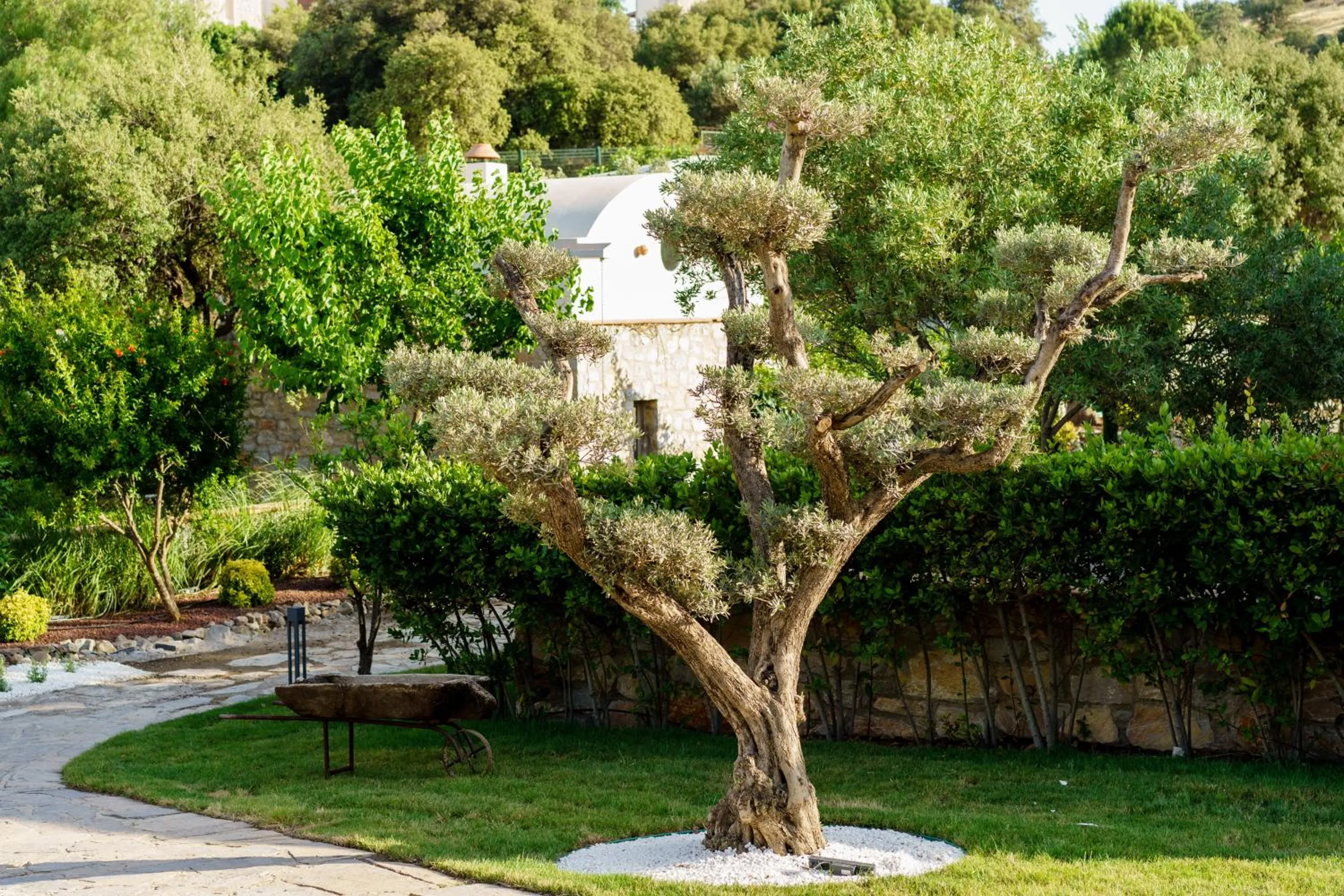 Garden in Odette Bodrum