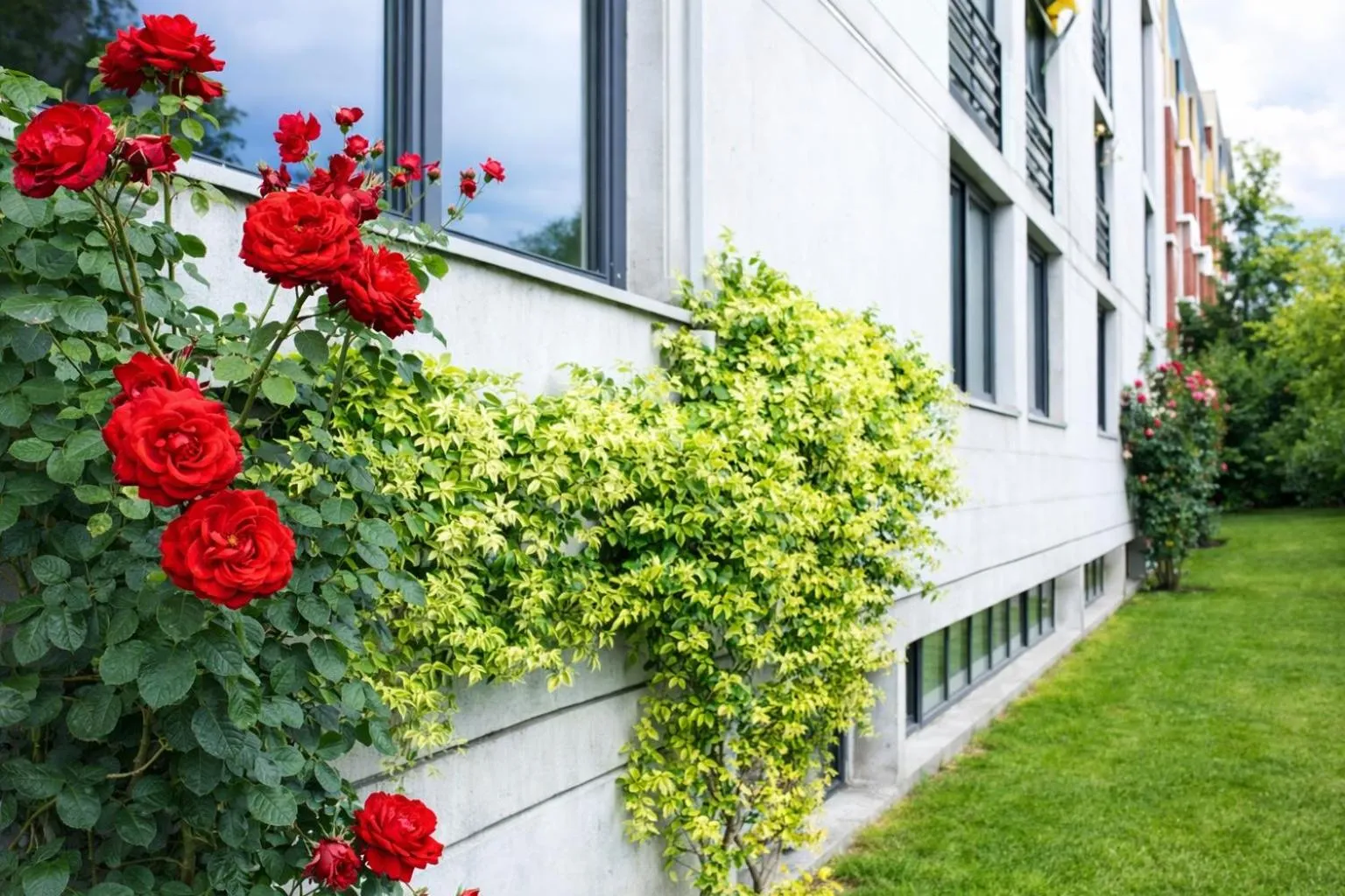 Garden in Hotel Nessi Locarno