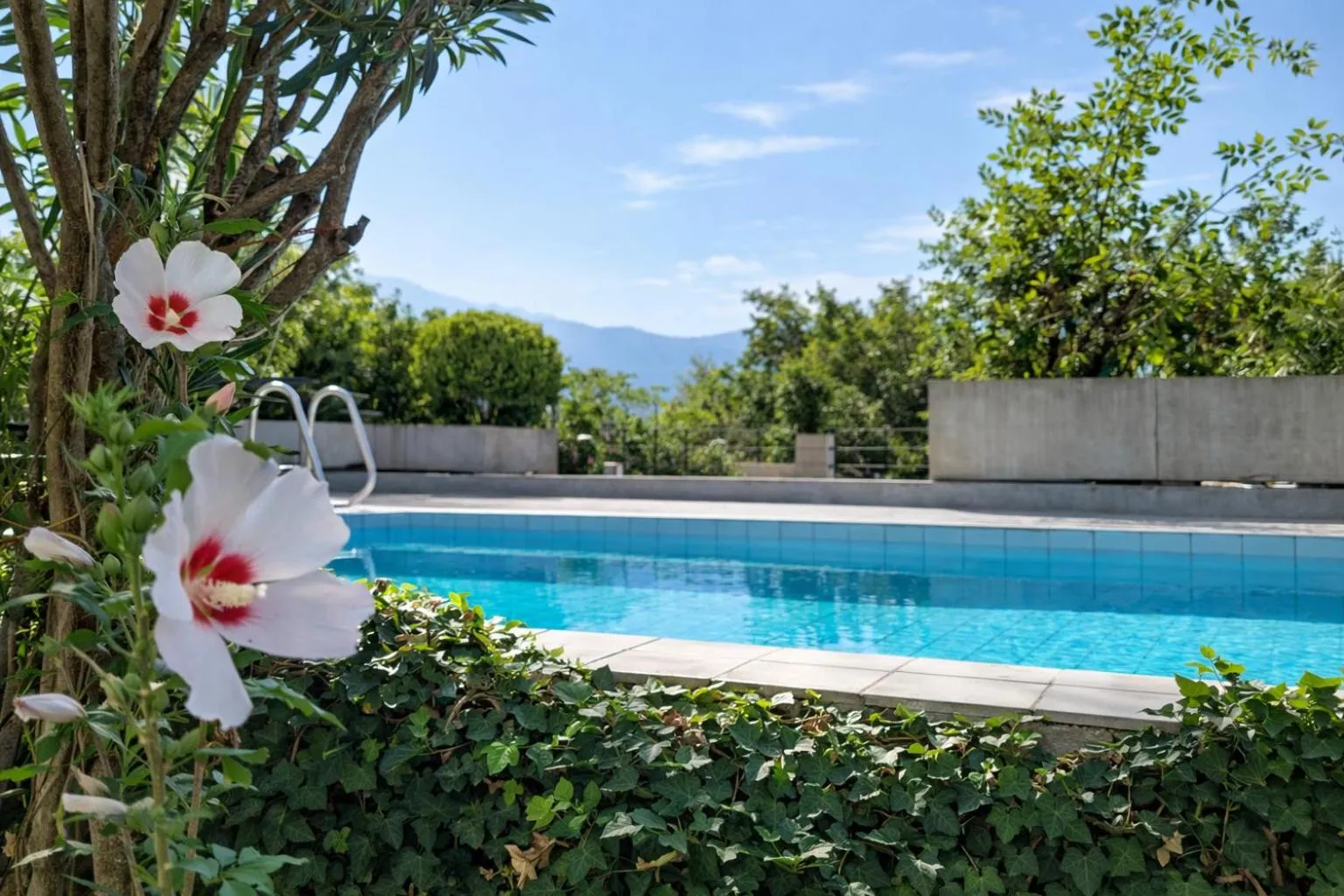 Spring in Hotel Nessi Locarno