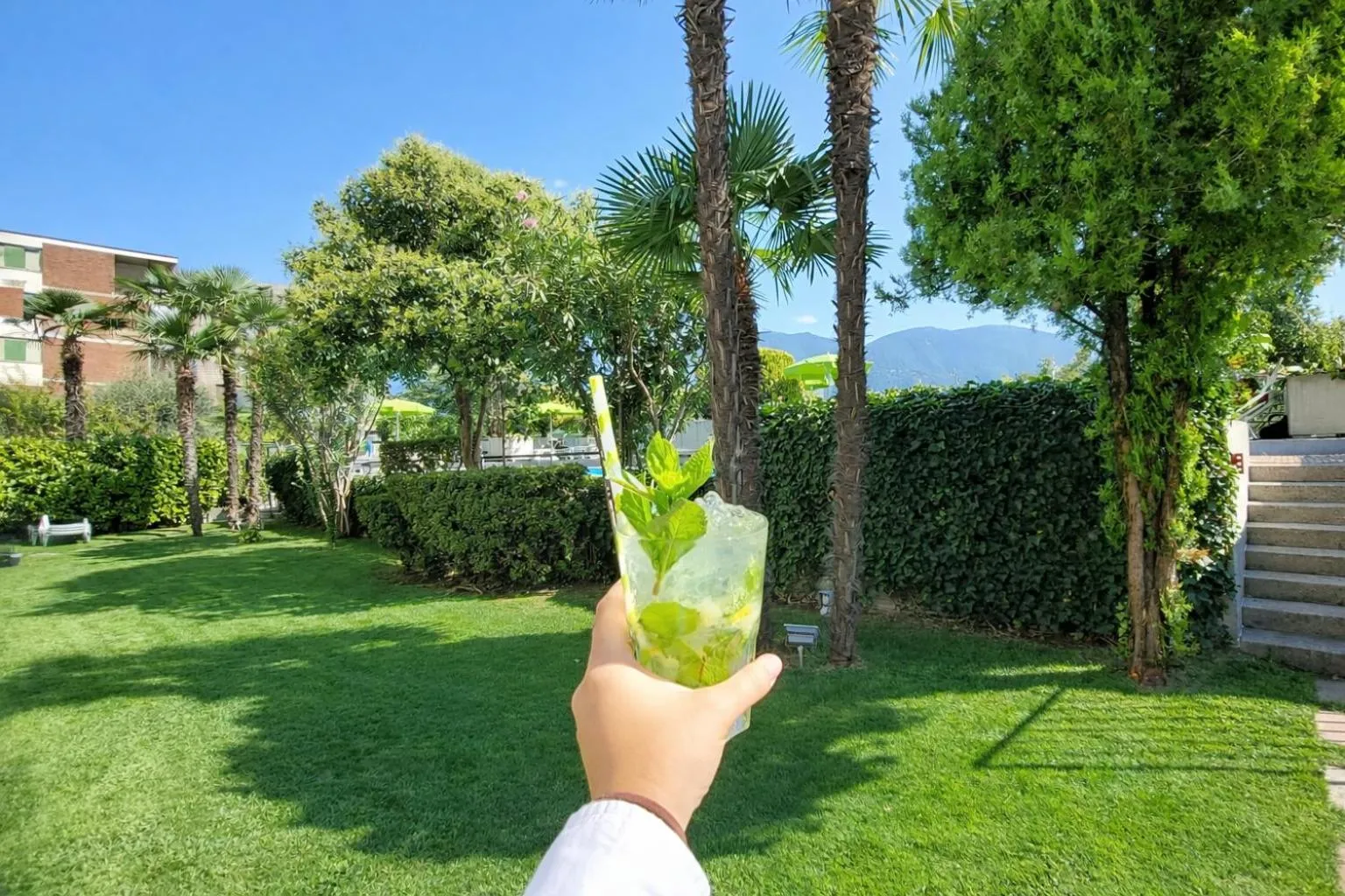 Natural landscape in Hotel Nessi Locarno