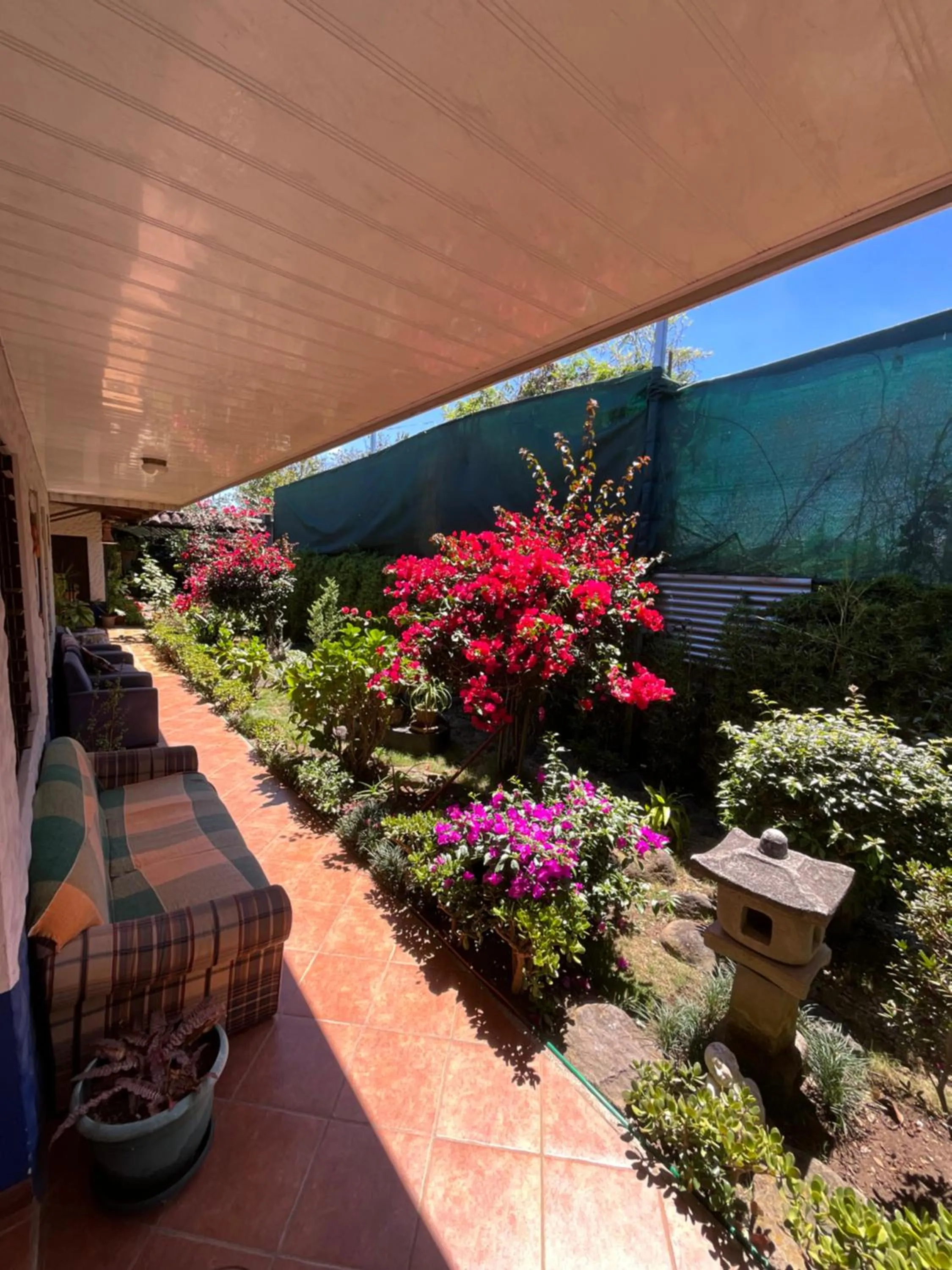 Patio in La Casa de Mamá Coyita