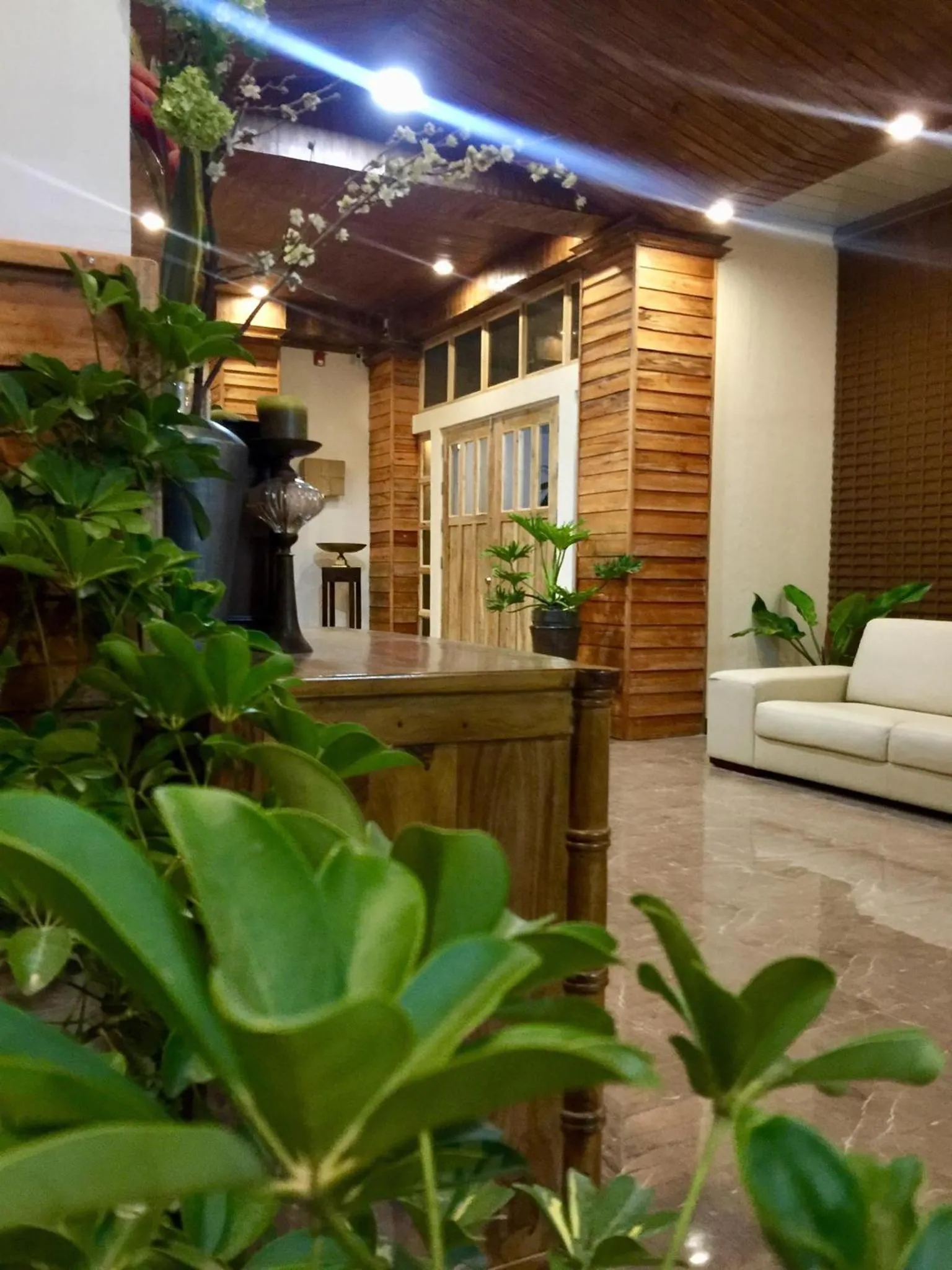 Property building in Bohol Boutique Hotel