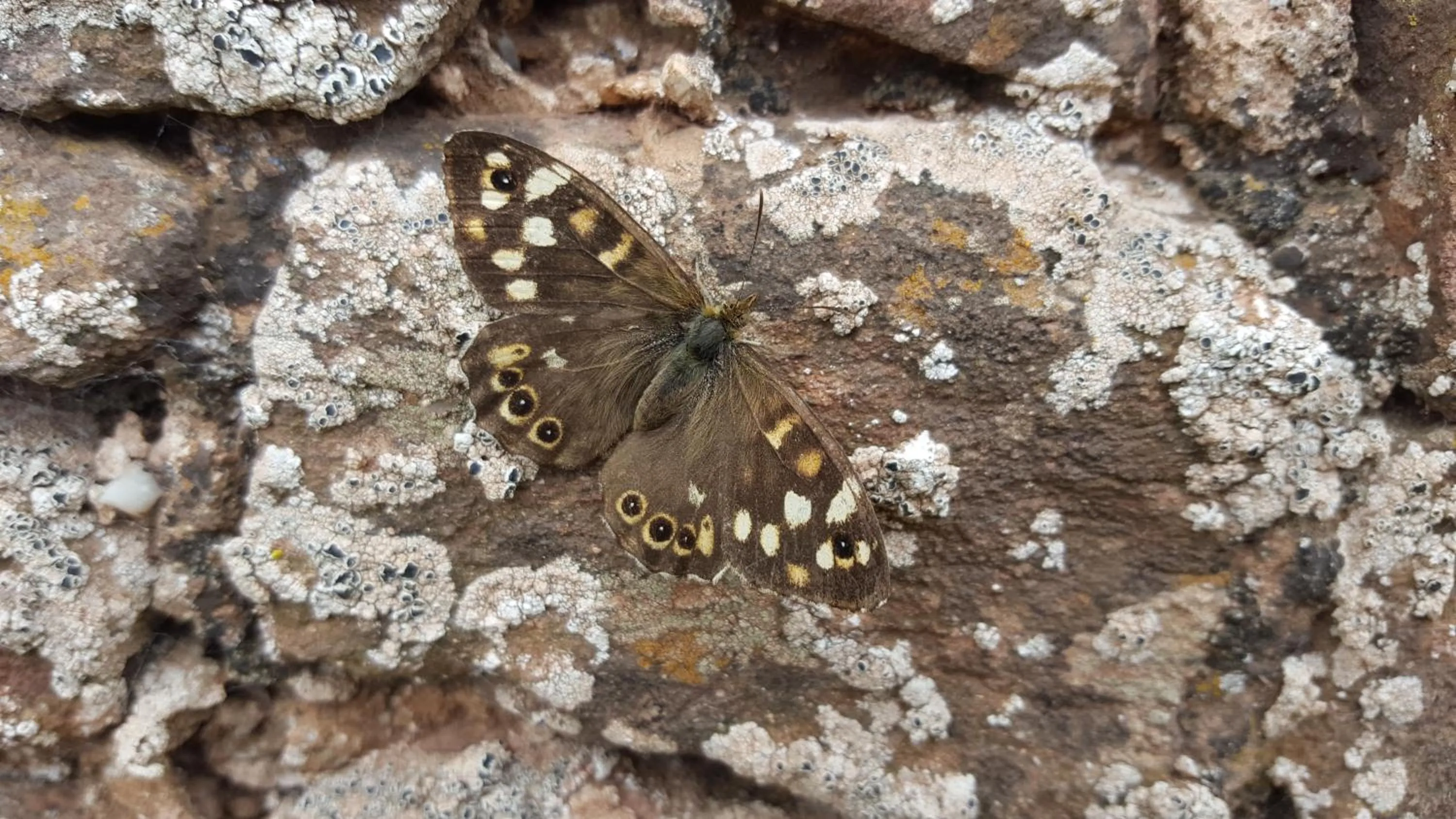 Property building in Eco Indigo