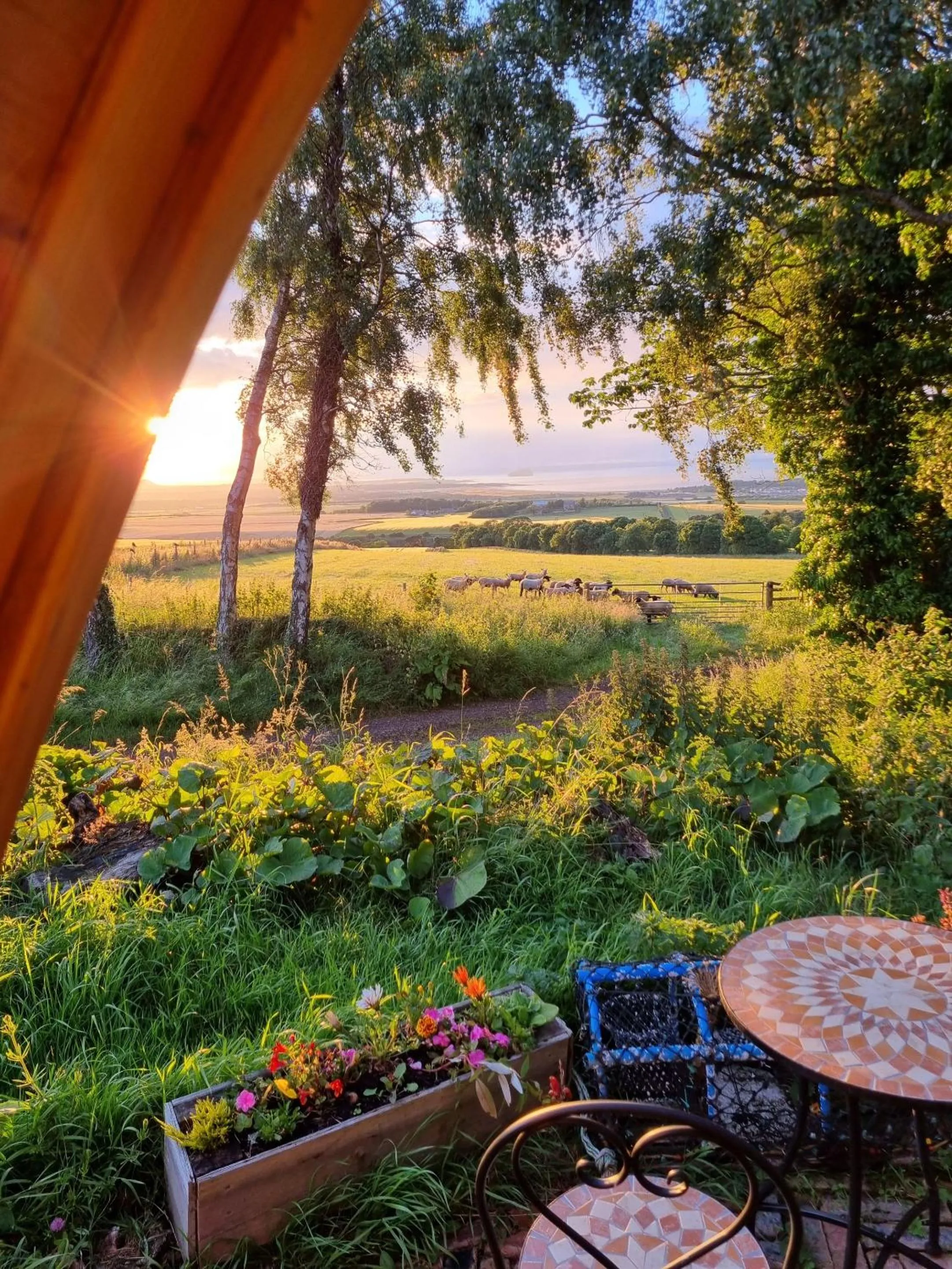 Garden in Eco Indigo