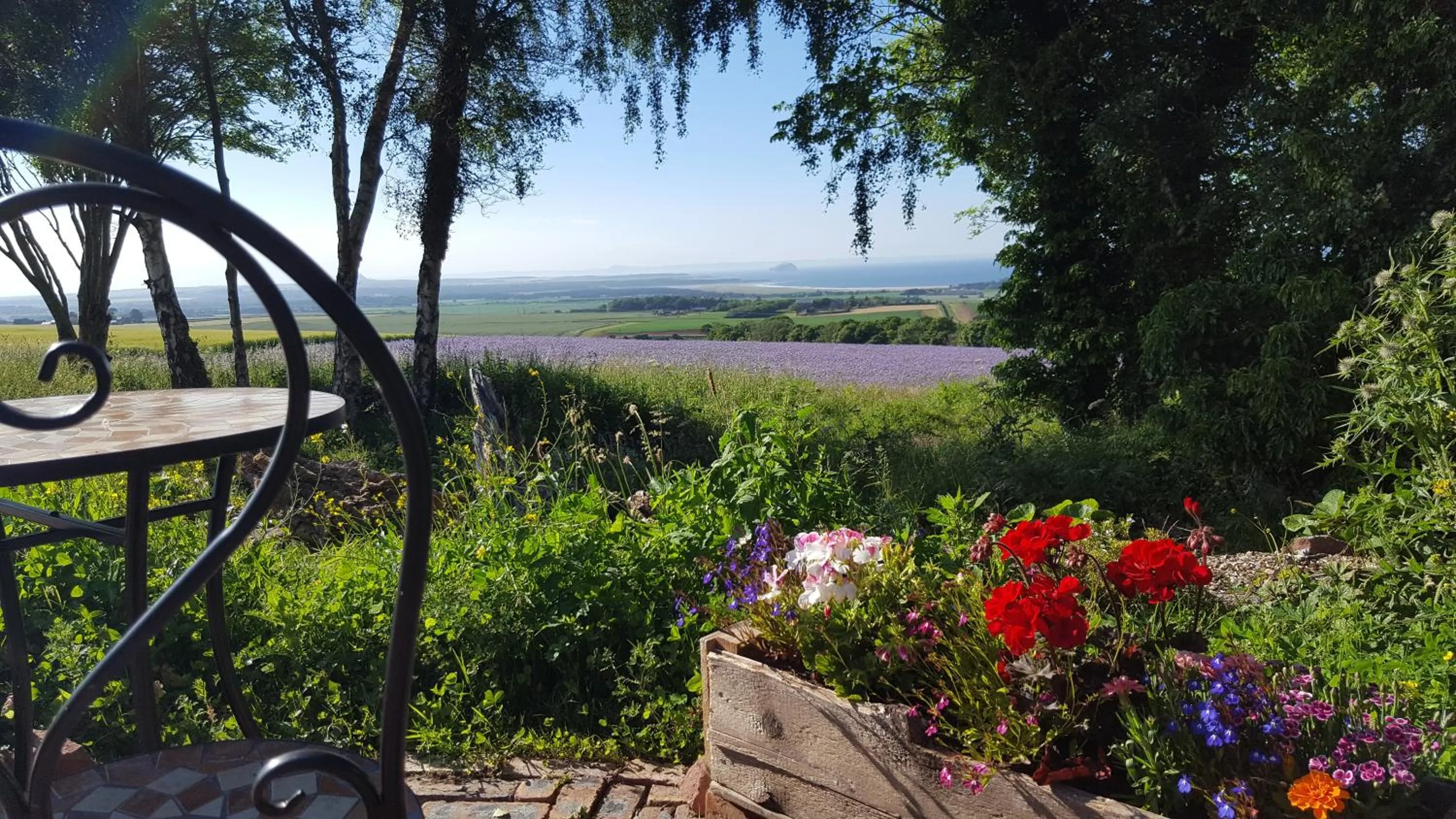 View (from property/room) in Eco Indigo