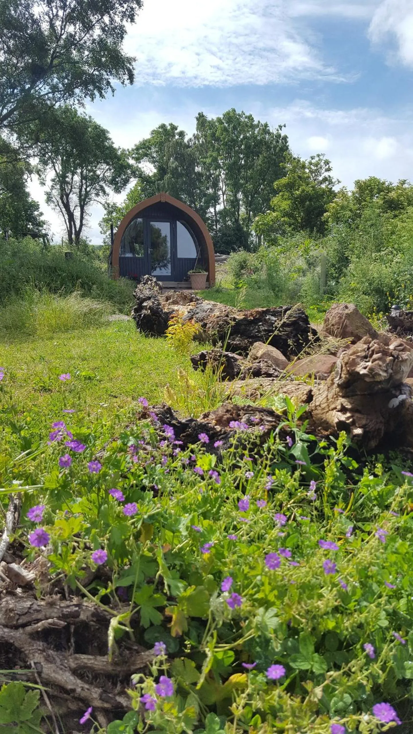 Lobby or reception in Eco Indigo