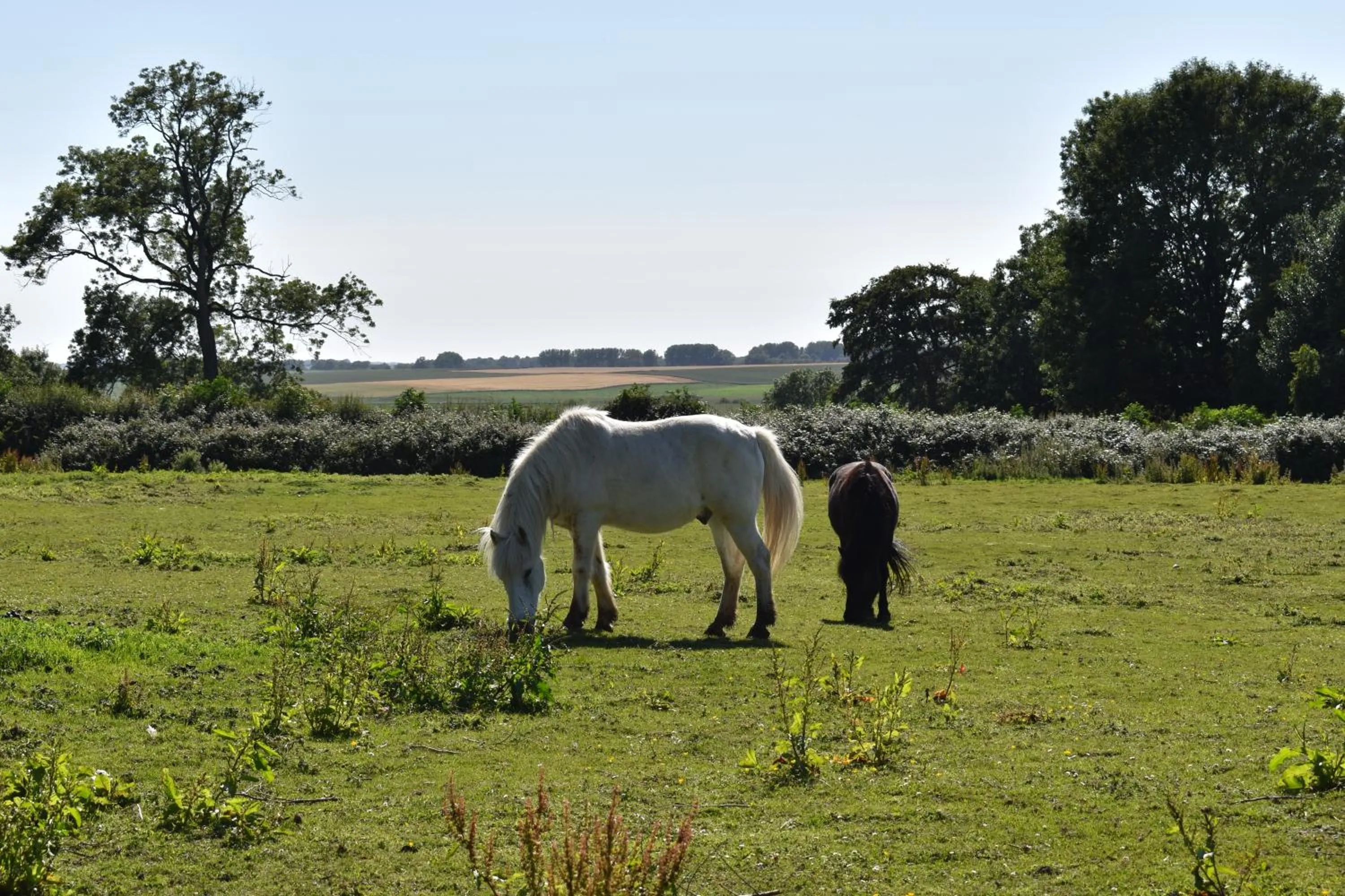 Garden view in Le Clos des 7 Vallées
