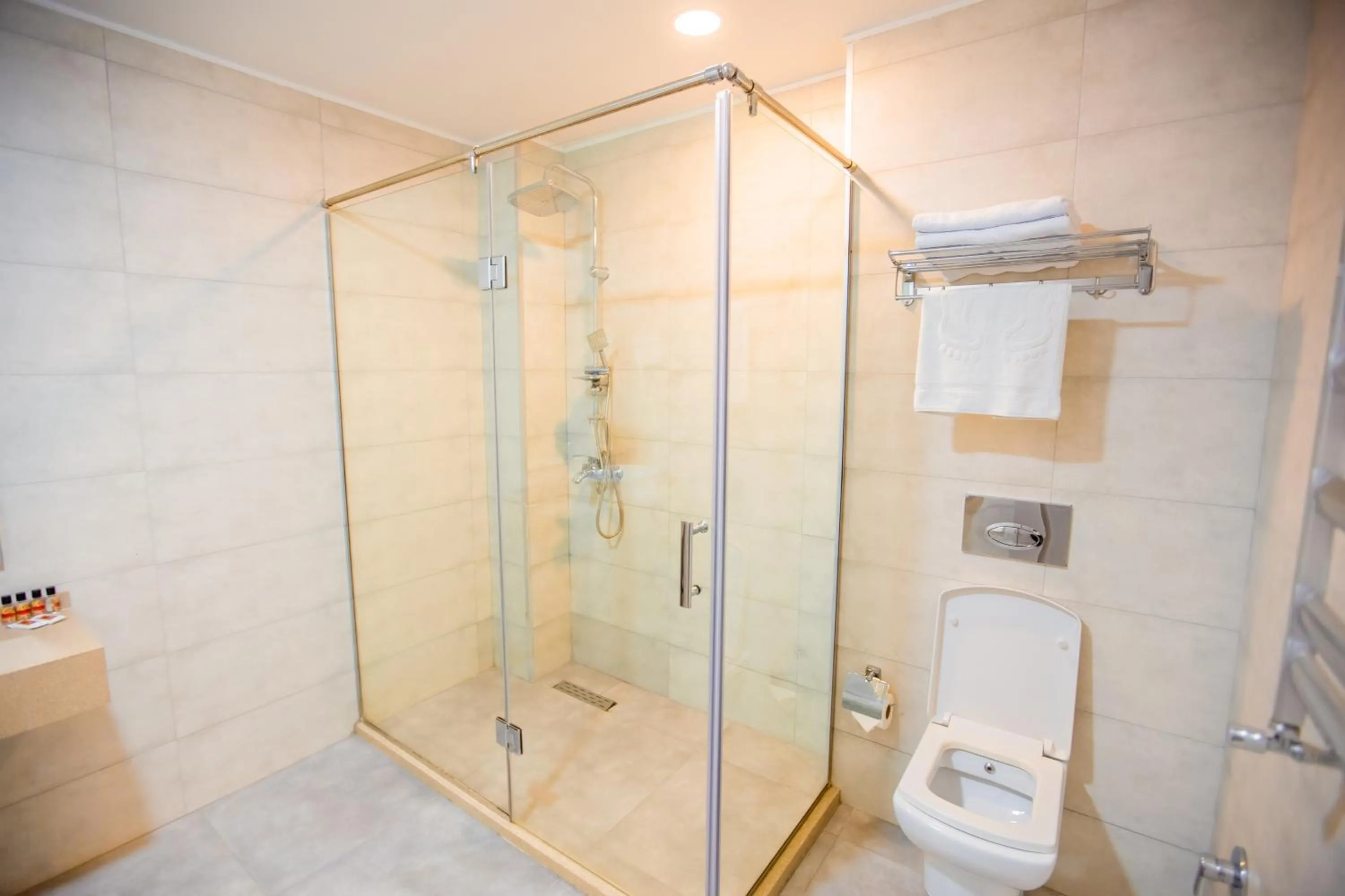 Shower in Premium Park Hotel