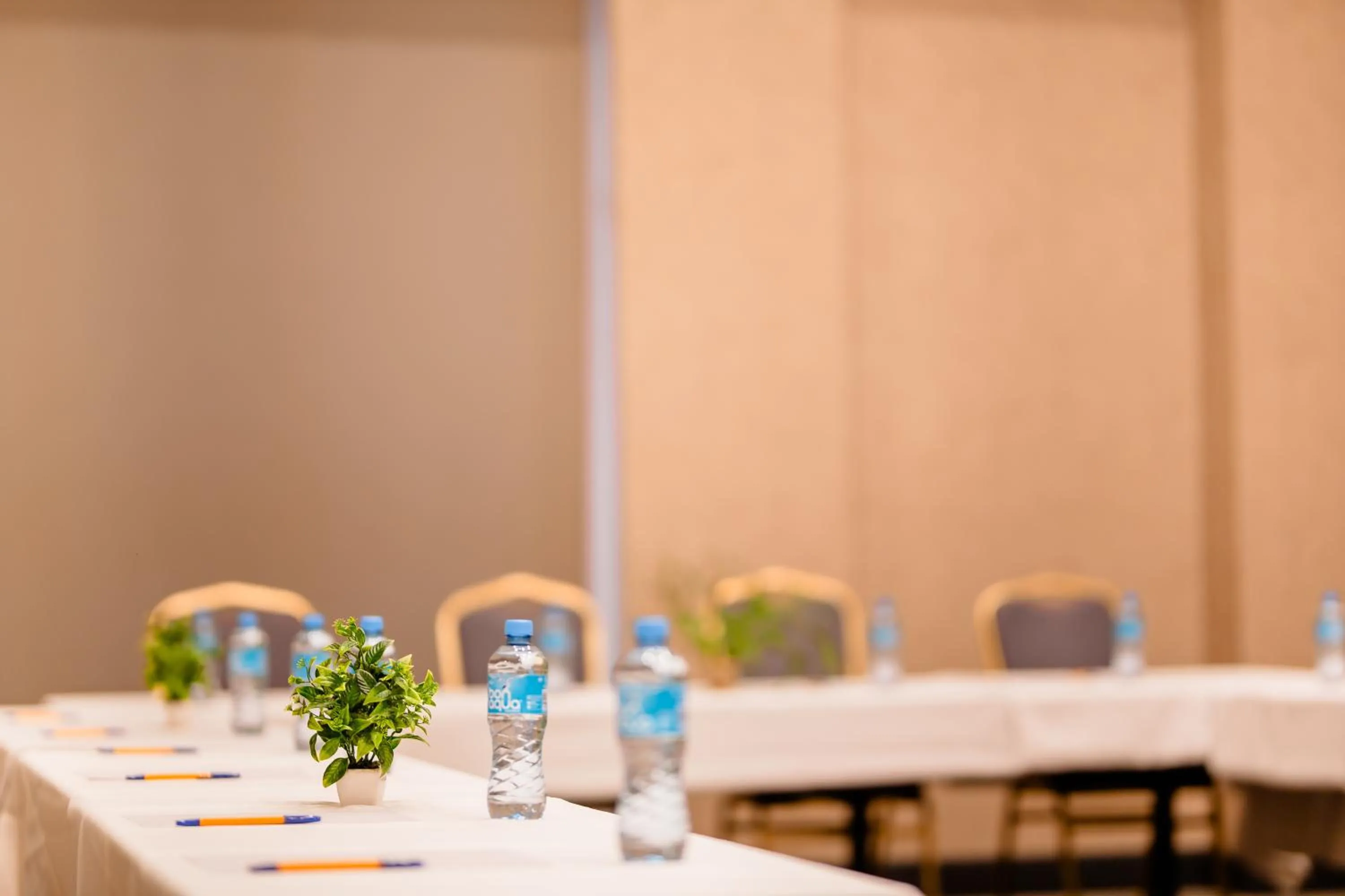 Meeting/conference room in Premium Park Hotel