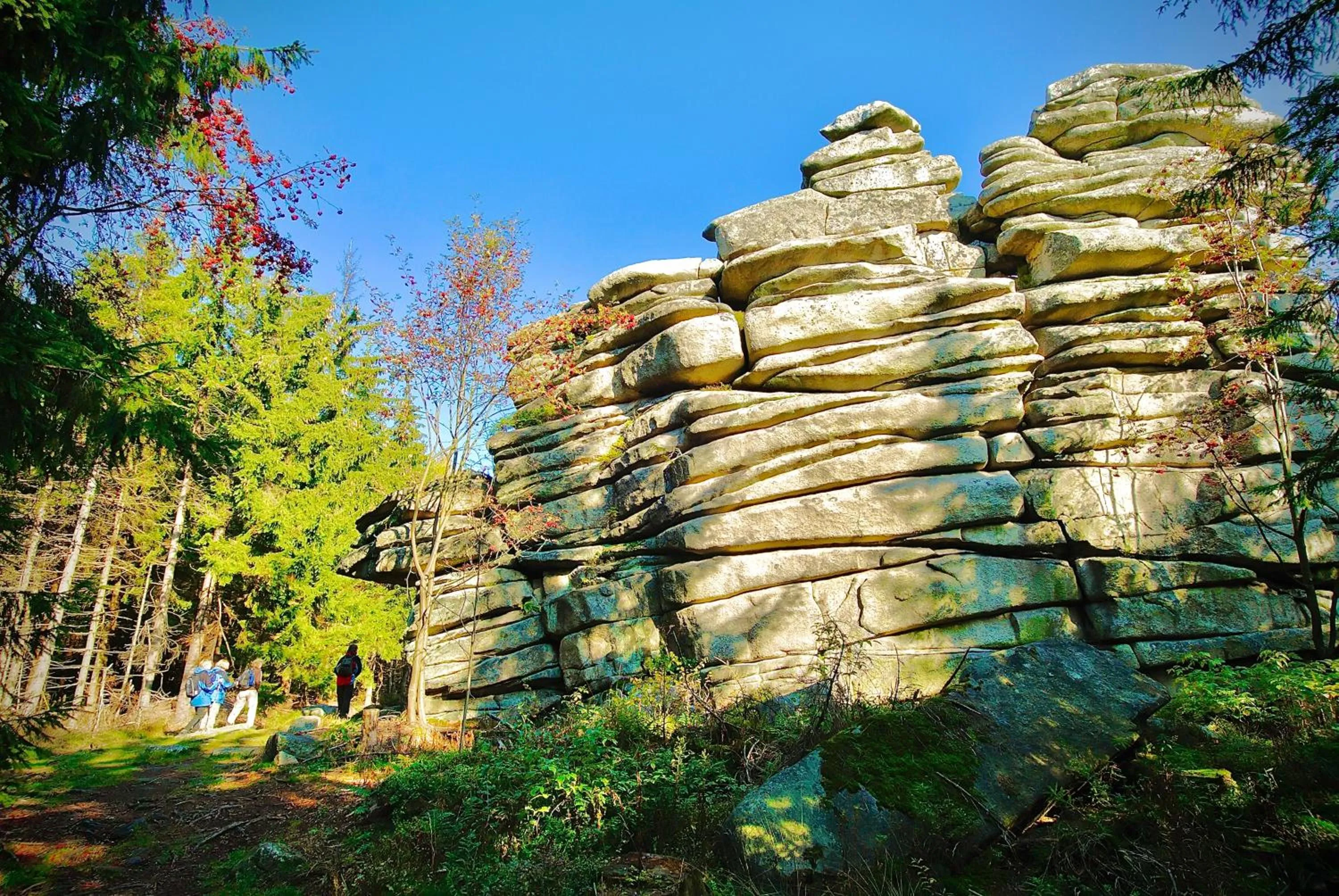 Fichtel-Hotel by Meister Bär