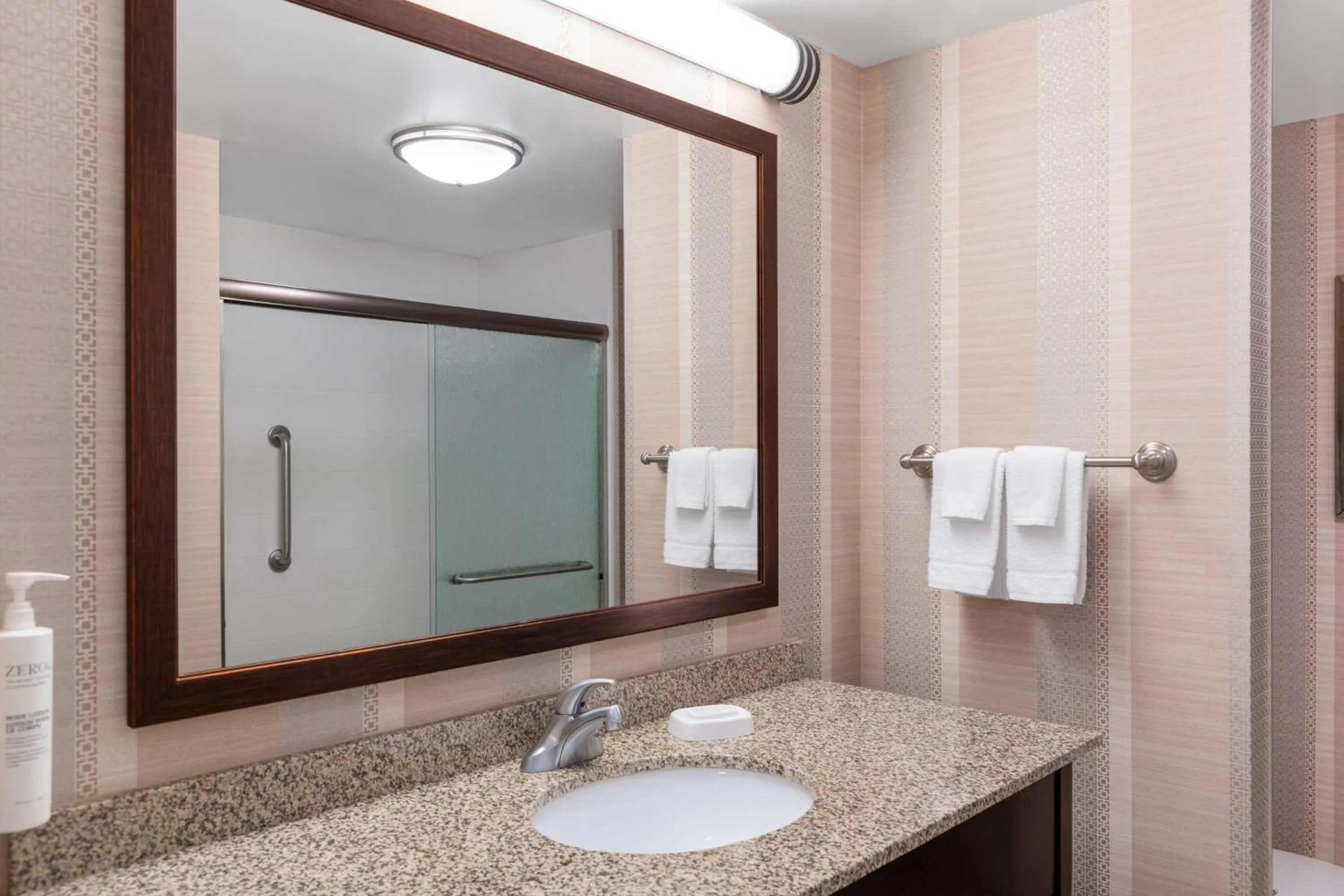 Bathroom in Hampton Inn & Suites Madison Downtown