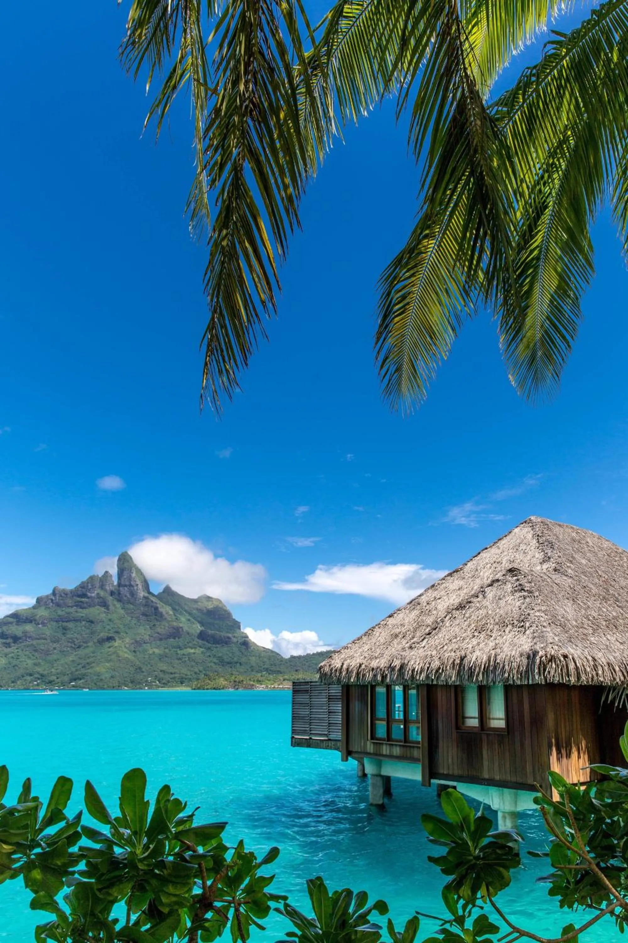 Other in The St. Regis Bora Bora Resort