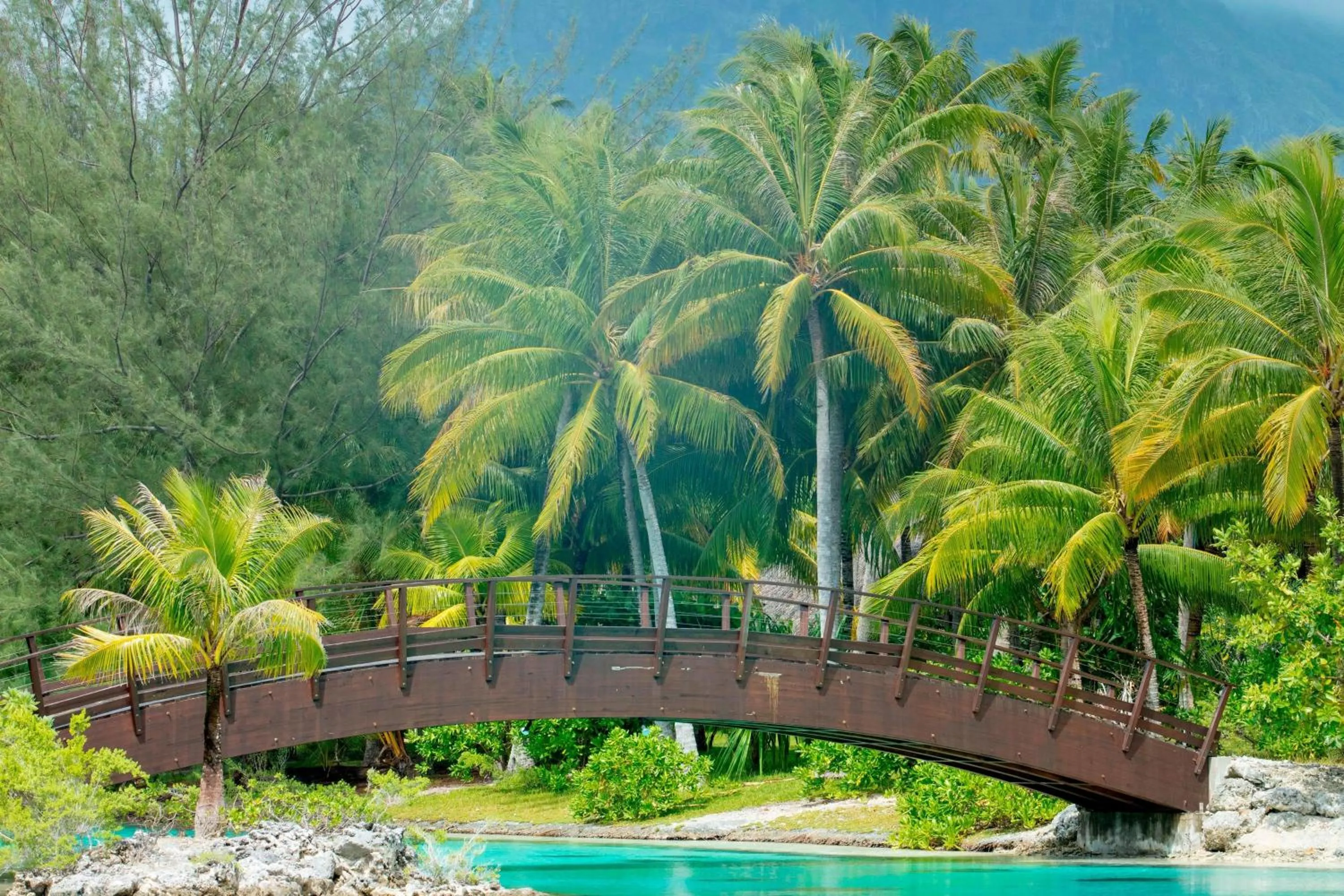 Other in The St. Regis Bora Bora Resort