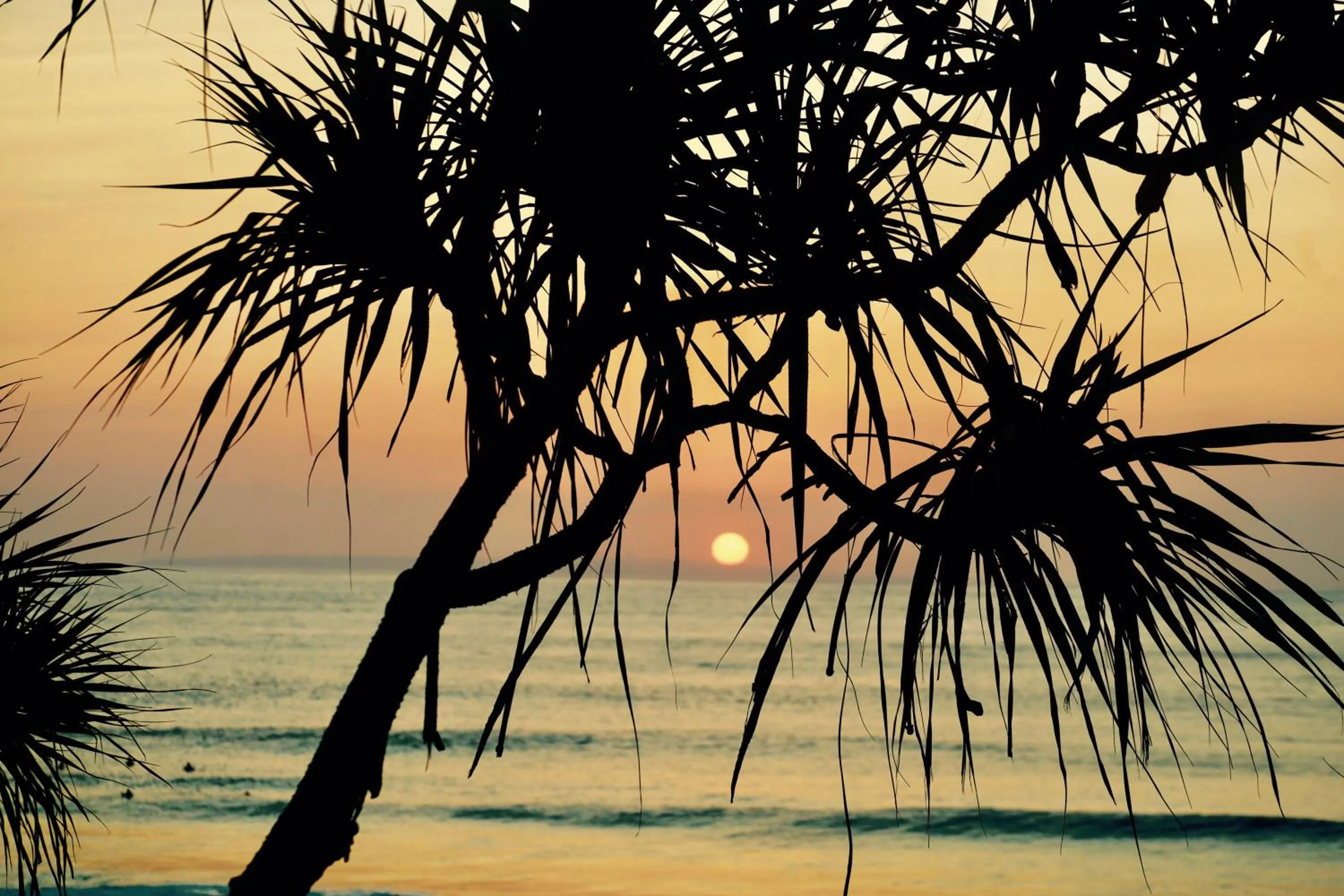 Pool view in The Palms Ceningan Hotel