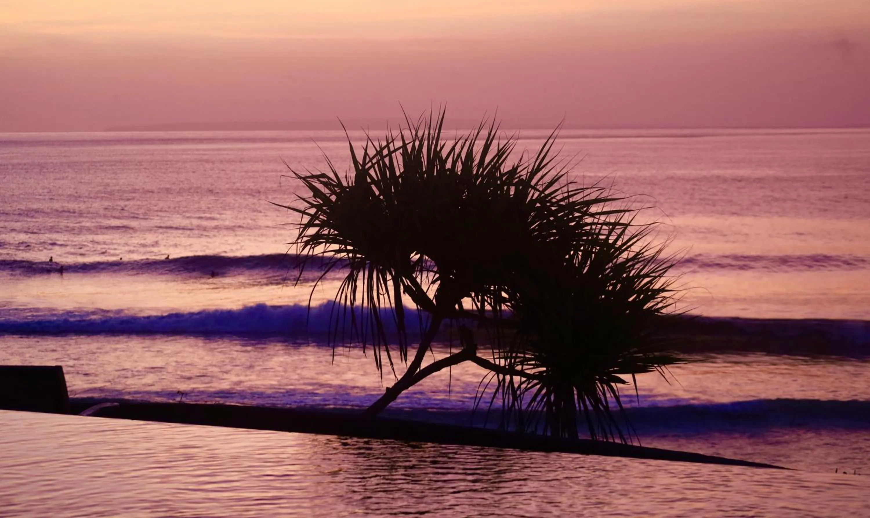 Beach in The Palms Ceningan Hotel