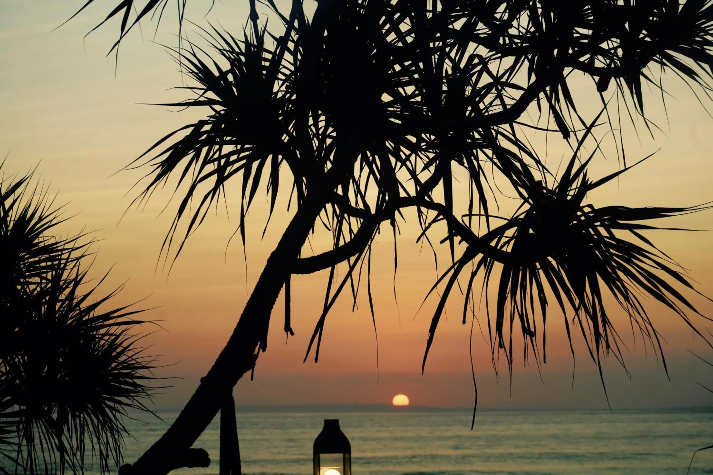 Garden in The Palms Ceningan Hotel