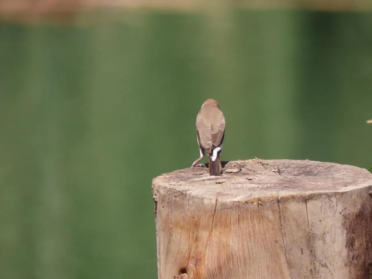 Luxor Old Nile Hotel