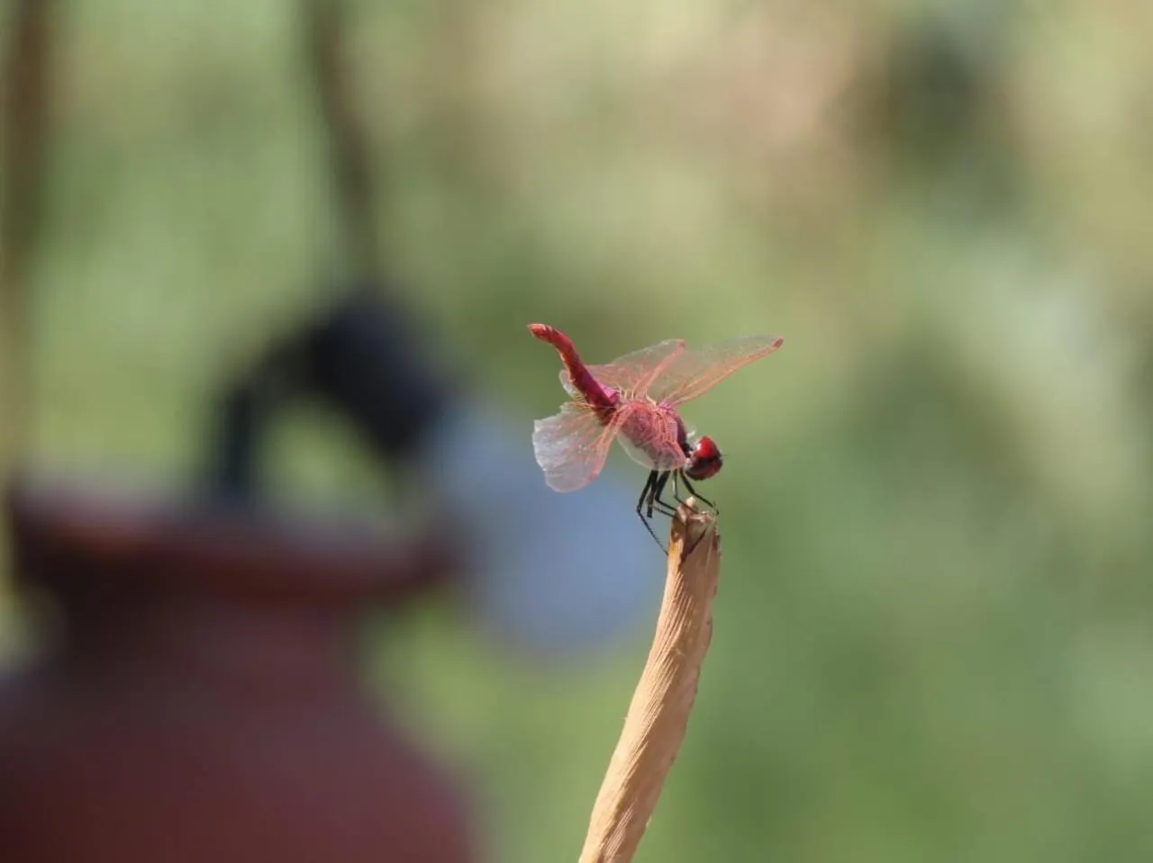 Luxor Old Nile Hotel