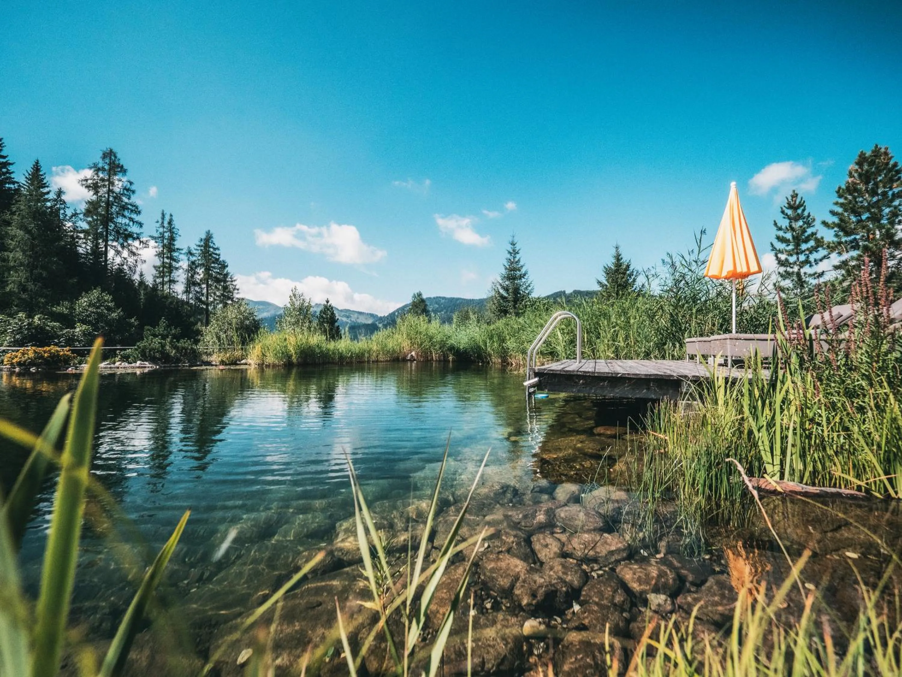 Natural landscape in Übergossene Alm Resort