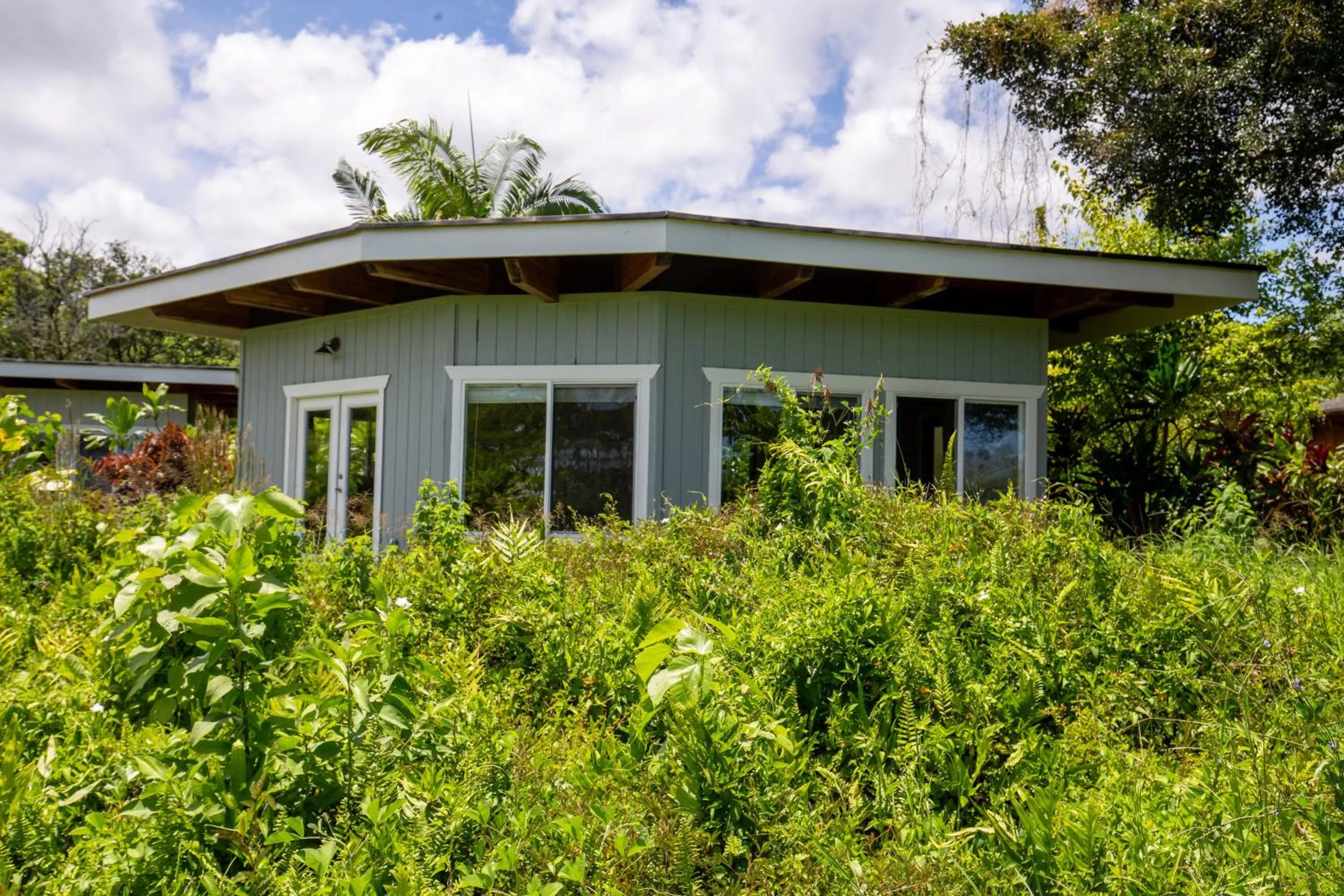 Property building in Kalani Oceanside Retreat