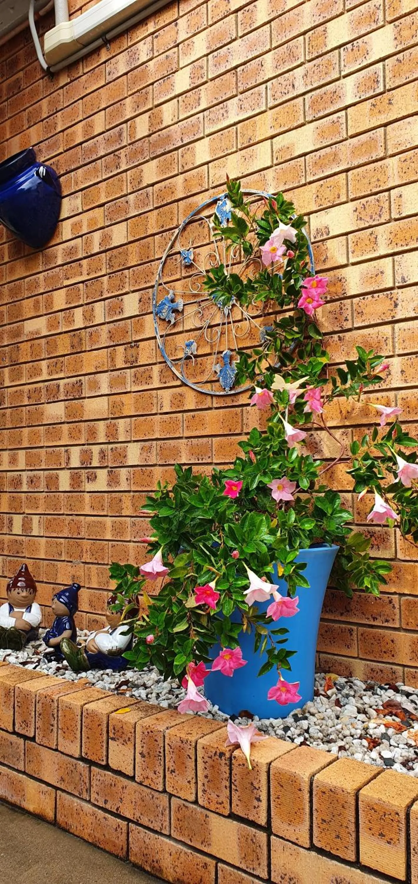 Garden in Benaraby Hilltop MotorInn