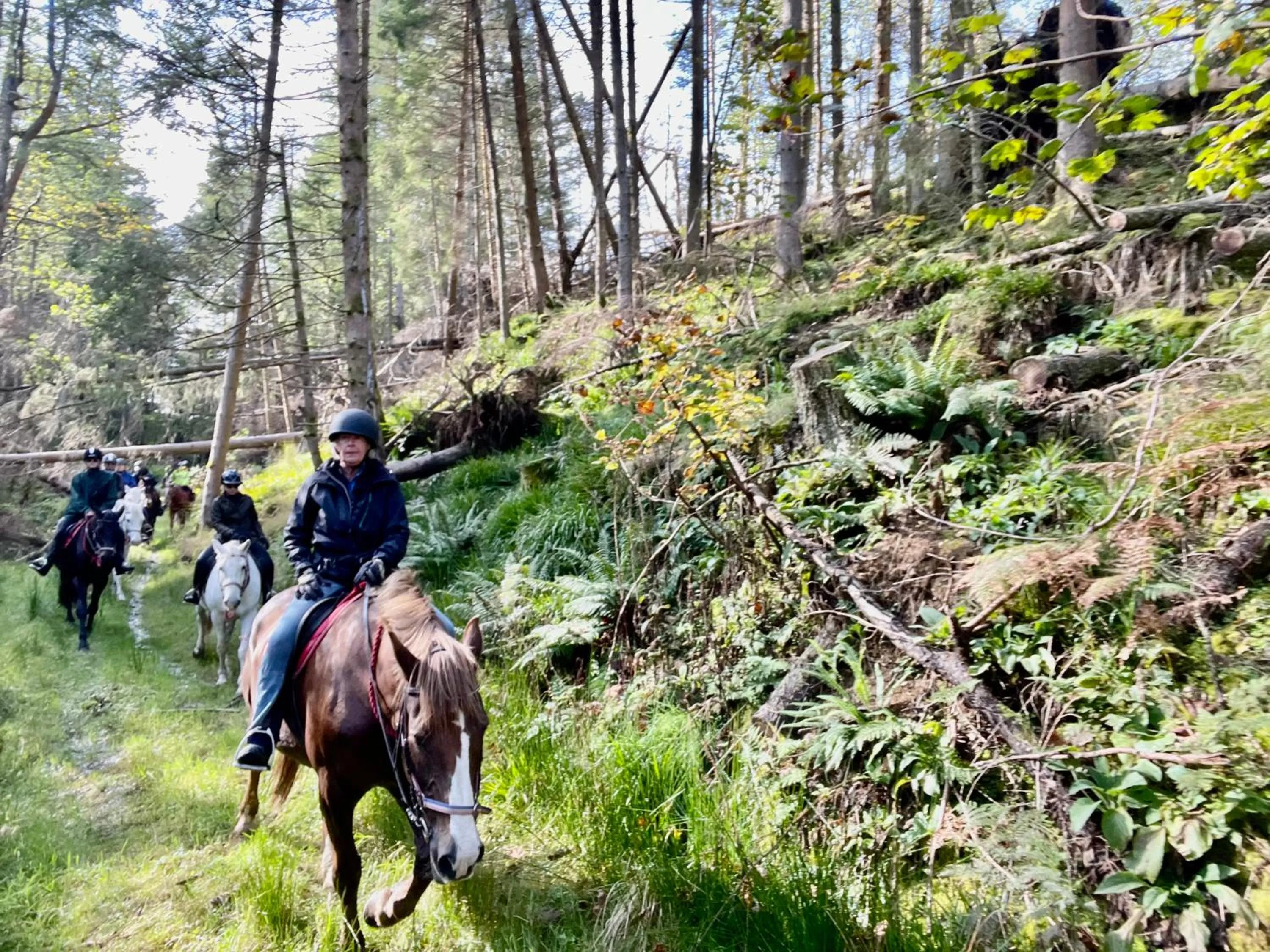 Horse-riding in Scottish Equi B&B