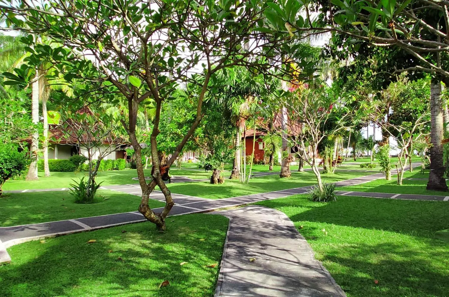 mascot hotel senggigi