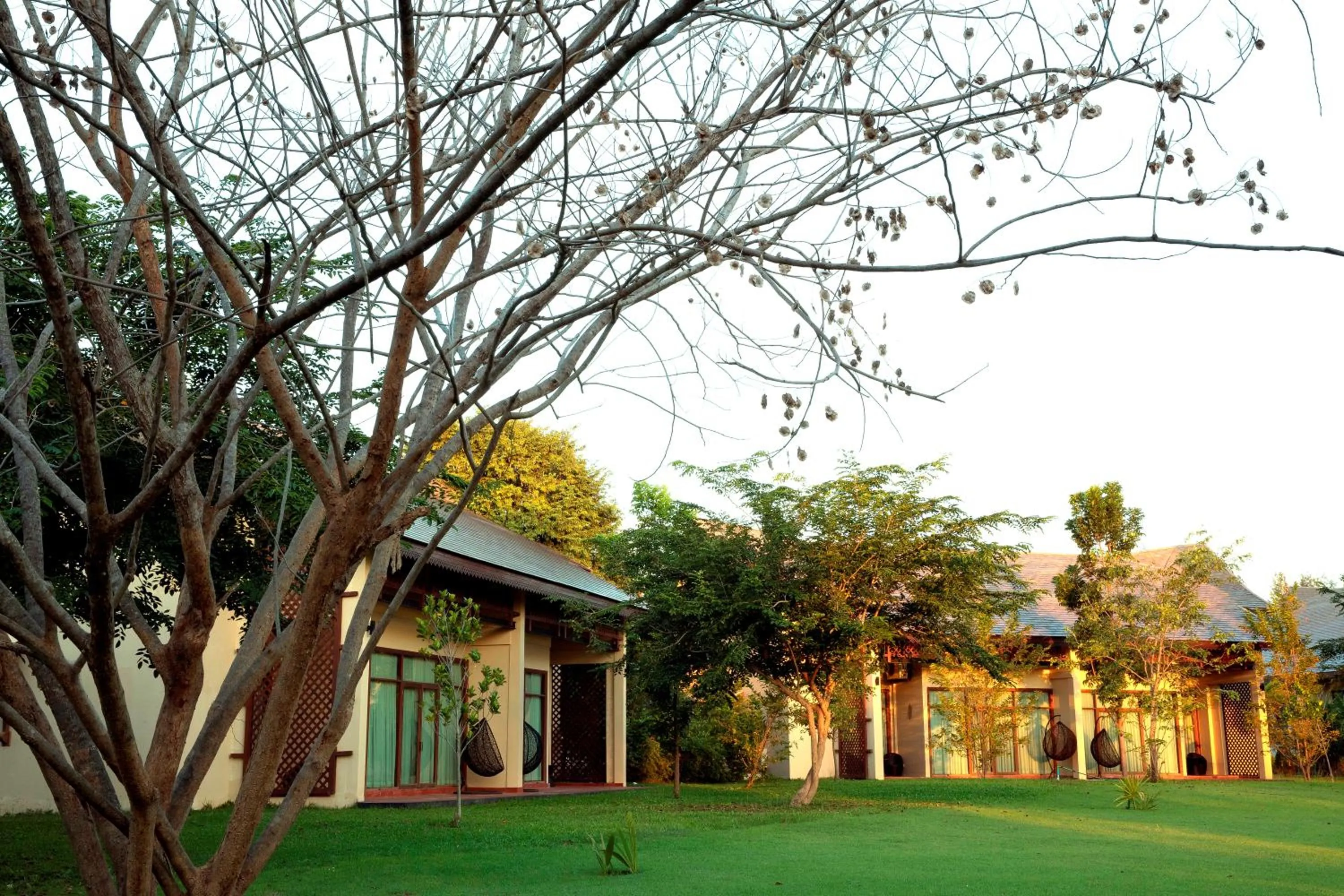 Natural landscape in Emerald Palace Hotel