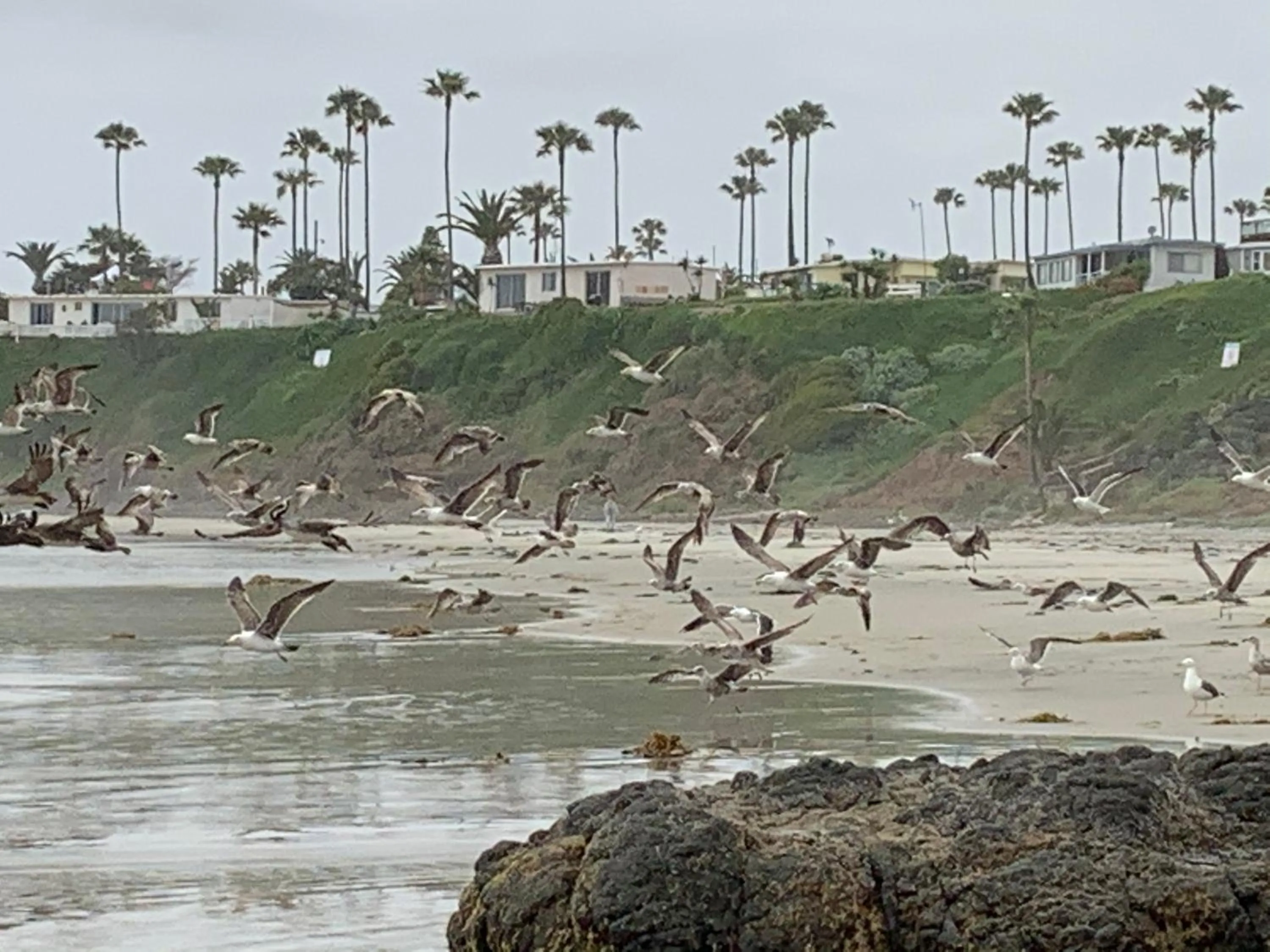Beachfront Condo close Puerto Nuevo, Papas, and Valle de Guadalupe