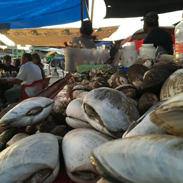 Beachfront Condo close Puerto Nuevo, Papas, and Valle de Guadalupe