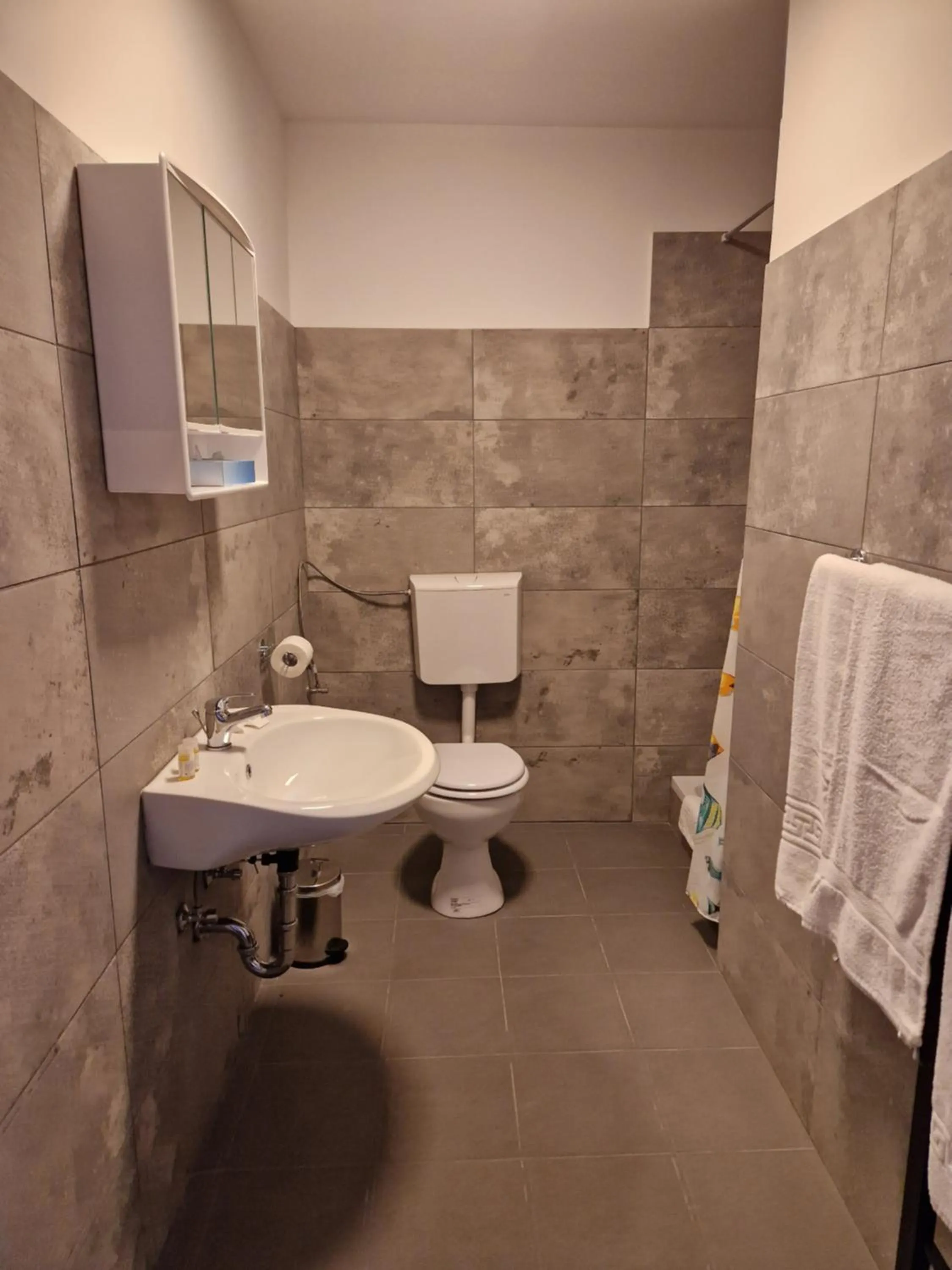 Bathroom in HOTEL WALDHORN