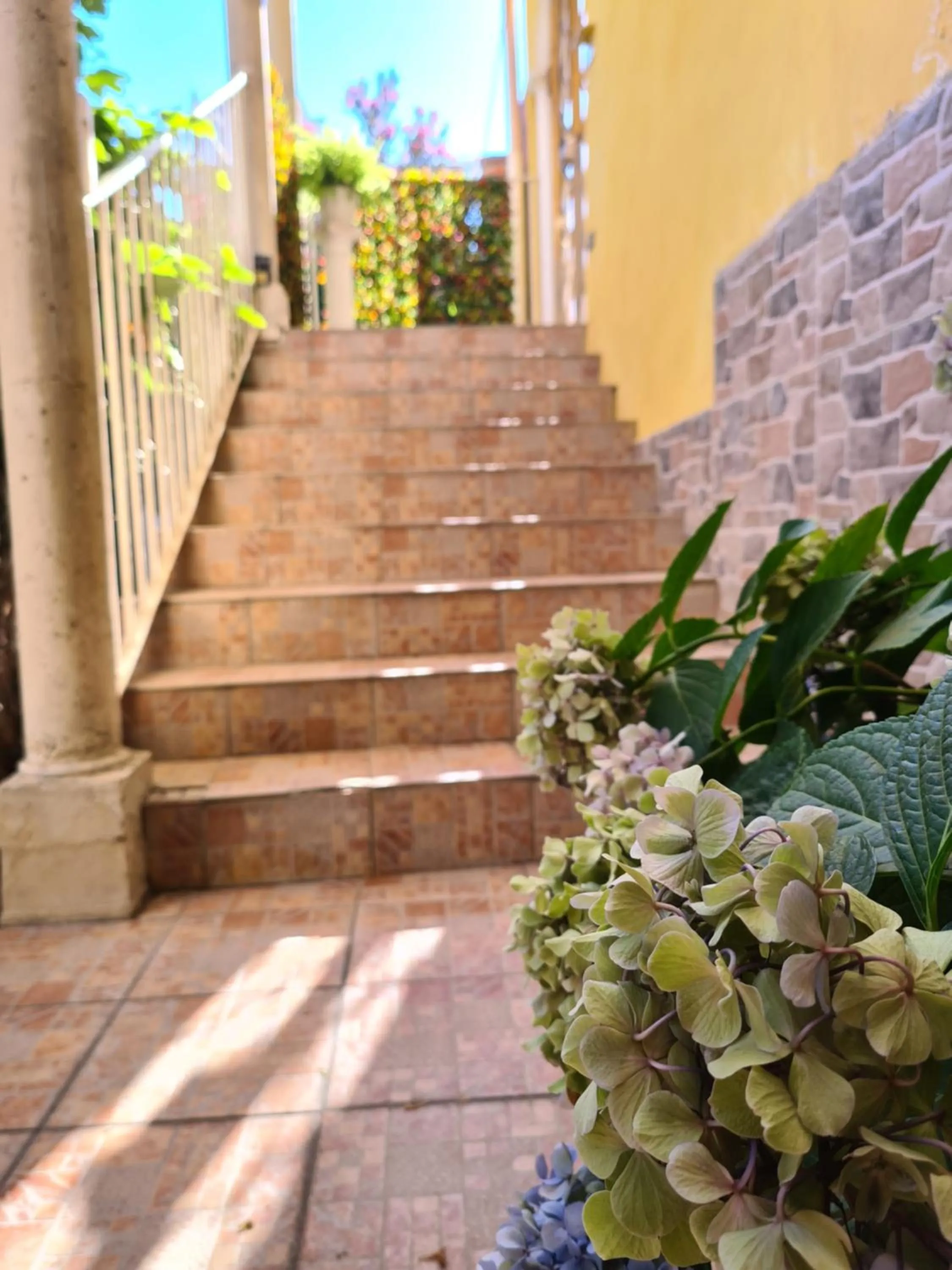 Property building in Domus Lace