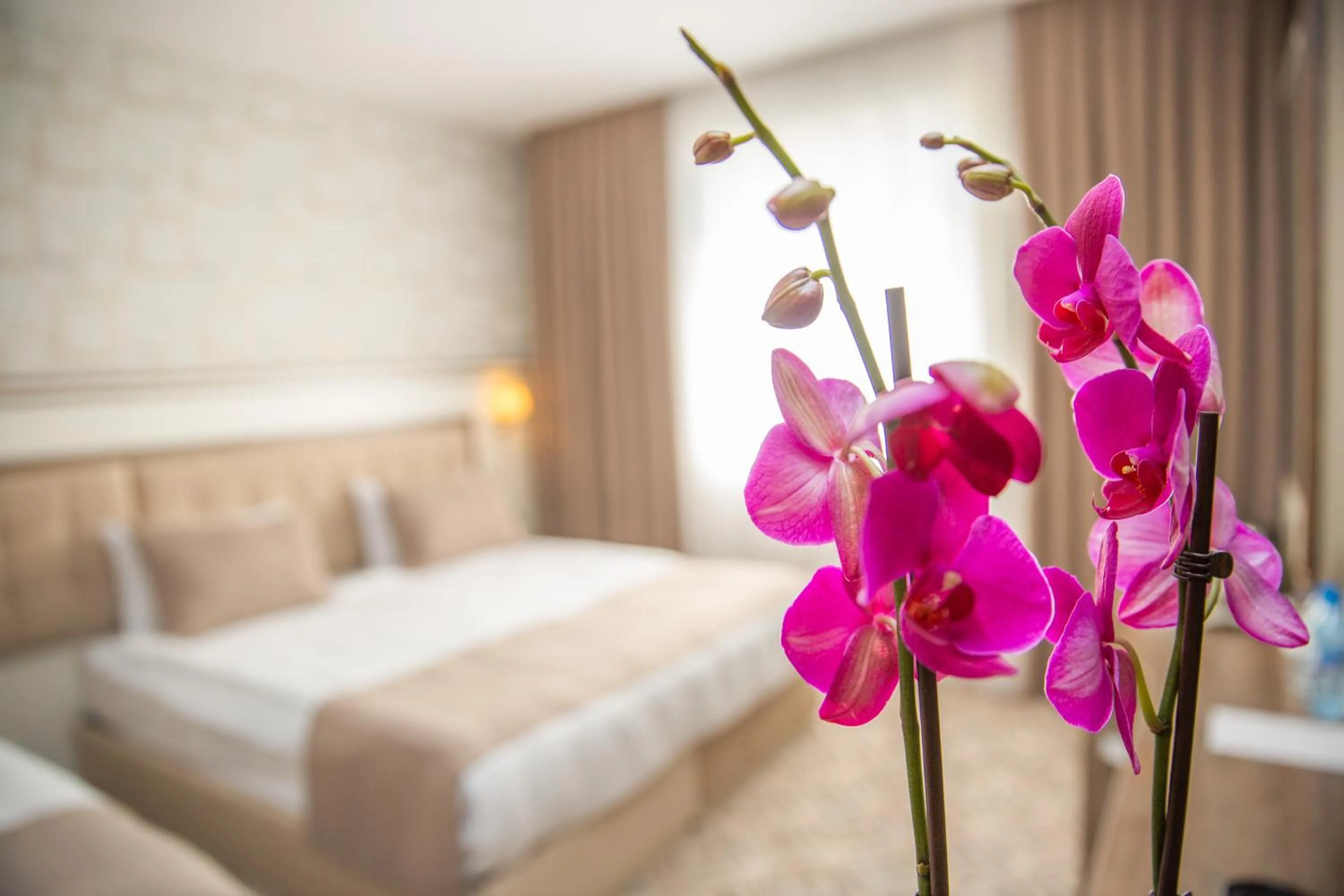 Photo of the whole room, Bed in ALBA HOTEL & SPA