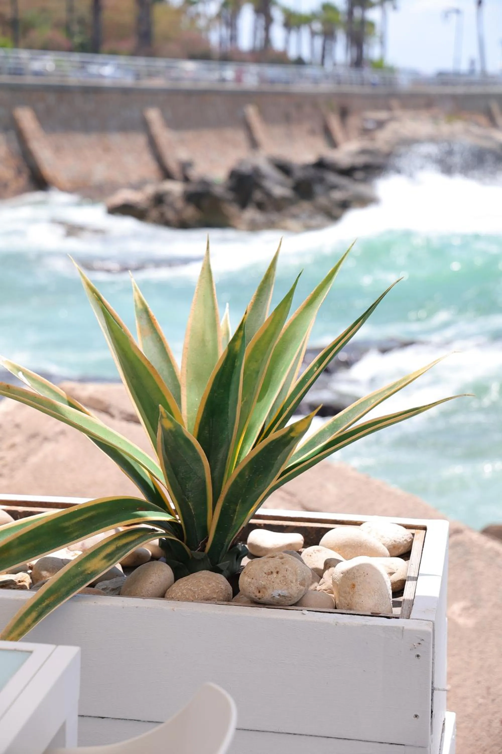 Riviera Hotel and Beach Lounge, Beirut