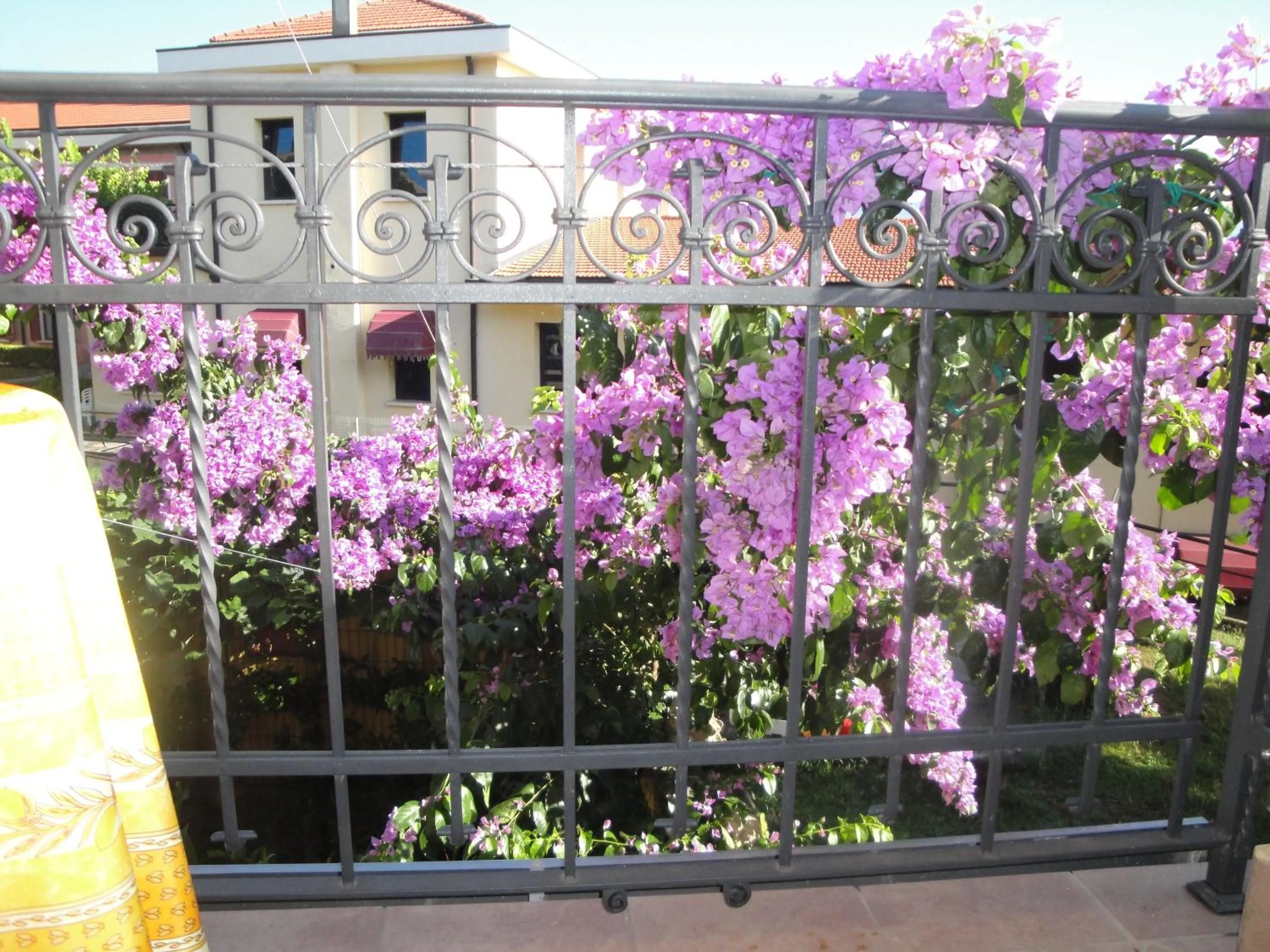 Spring in The Queen Tower