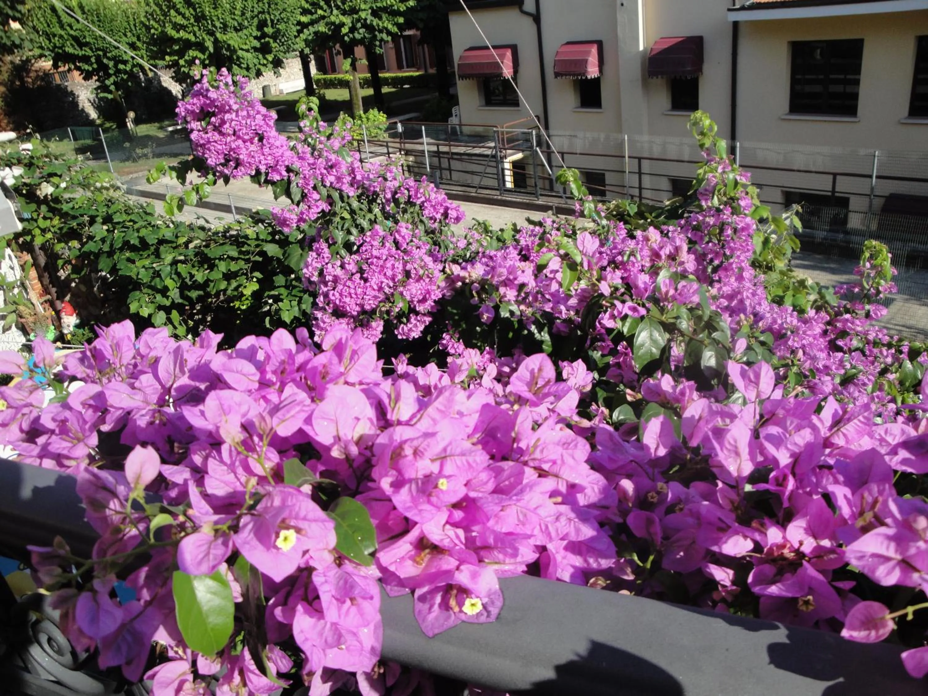 Spring in The Queen Tower