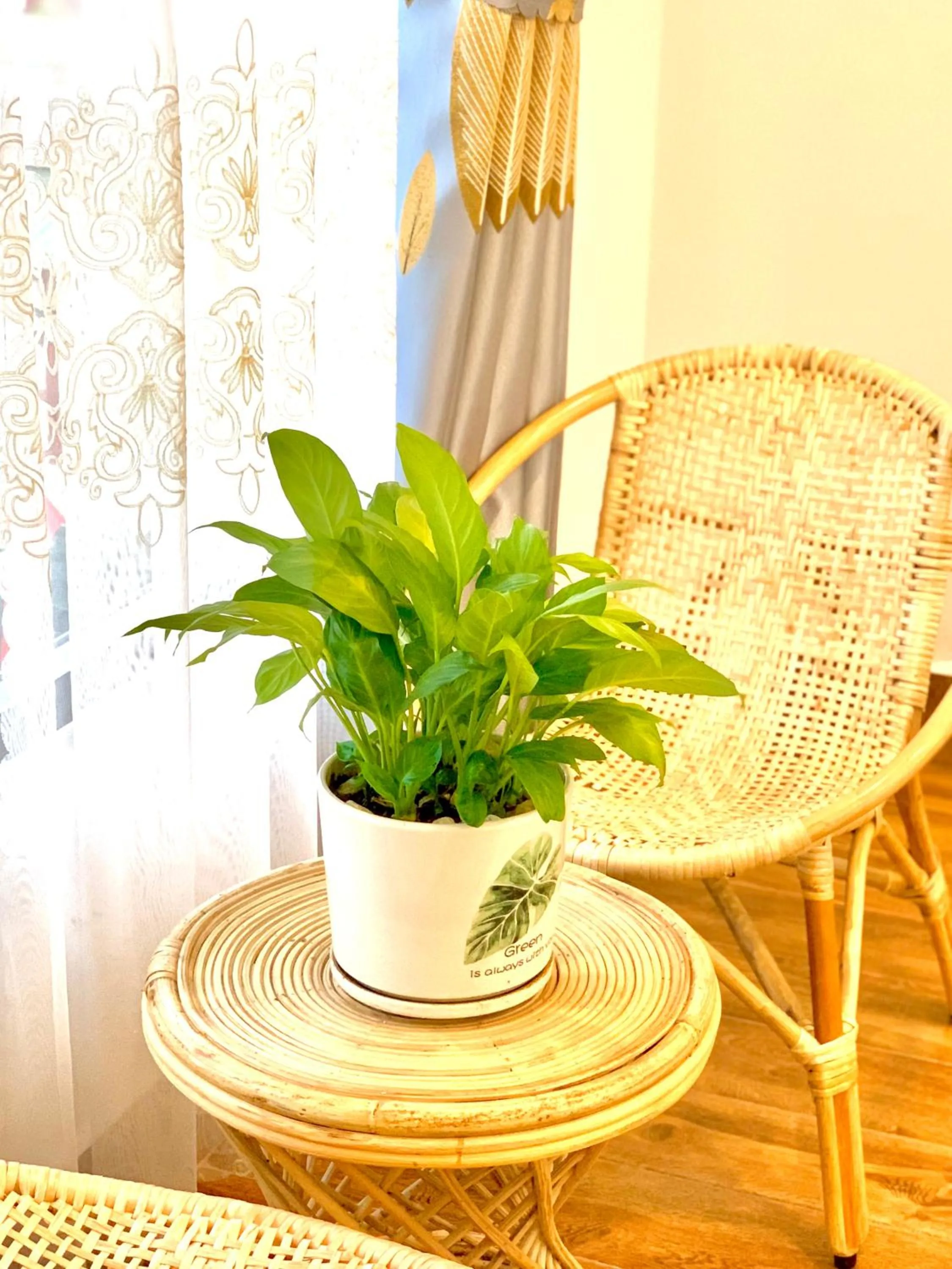 Seating area in Family Homestay Dalat Casa