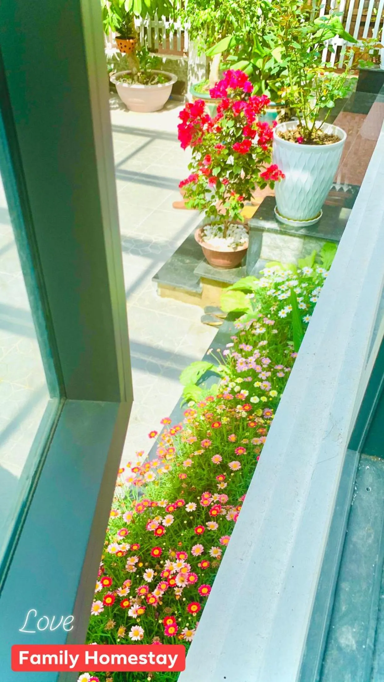 Balcony/Terrace in Family Homestay Dalat Casa