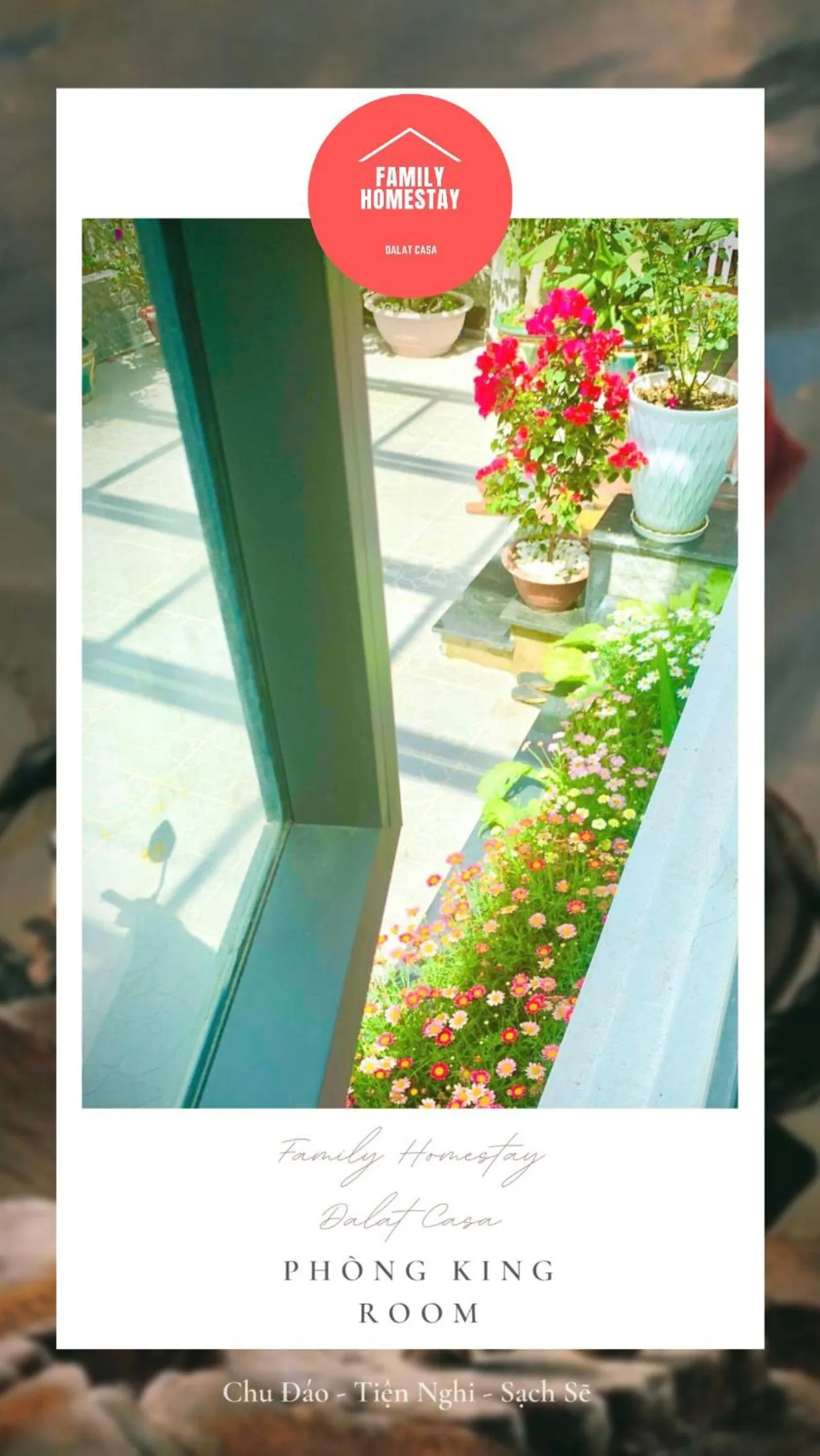 Day in Family Homestay Dalat Casa