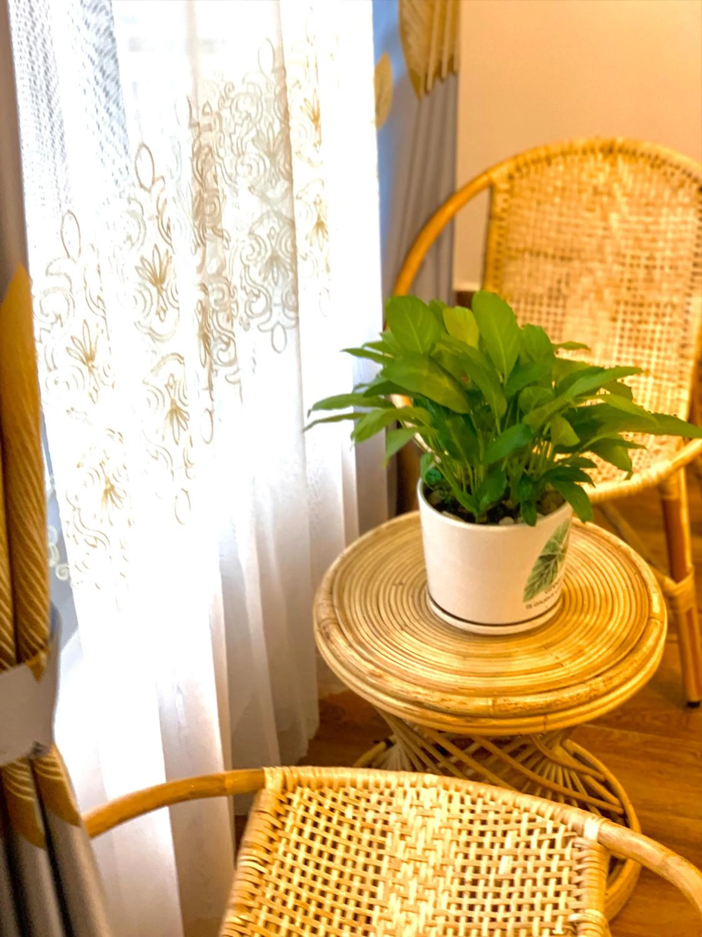 View (from property/room) in Family Homestay Dalat Casa