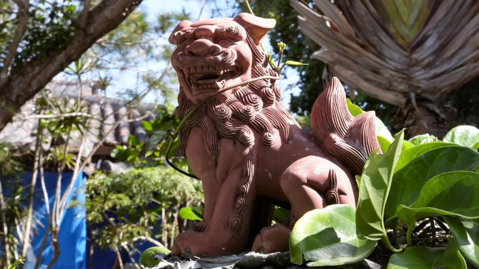 Other in Toyoko Inn Okinawa Ishigaki-jima