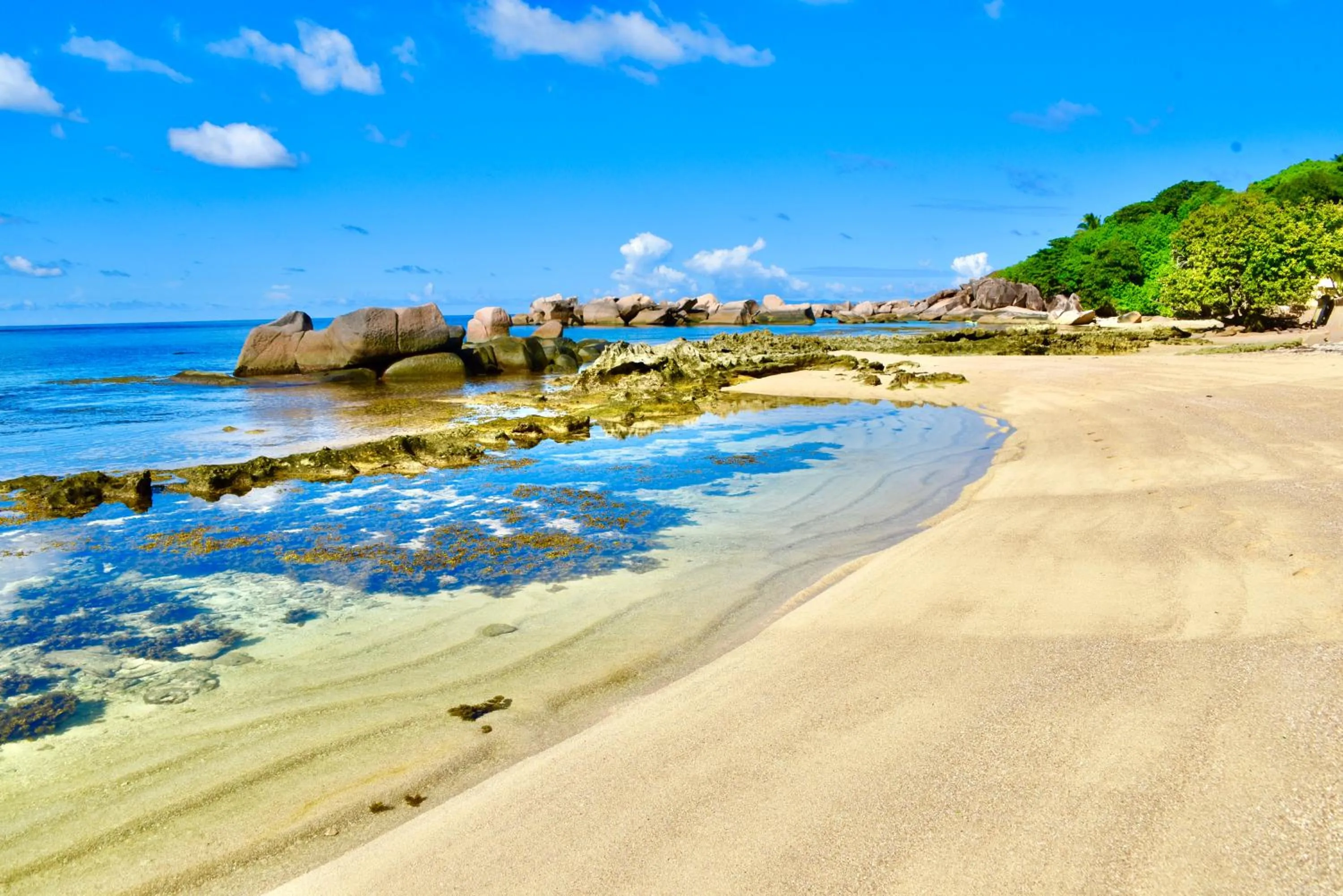Beach in SEA SPLASH SELF CATERING And La Petite Maison