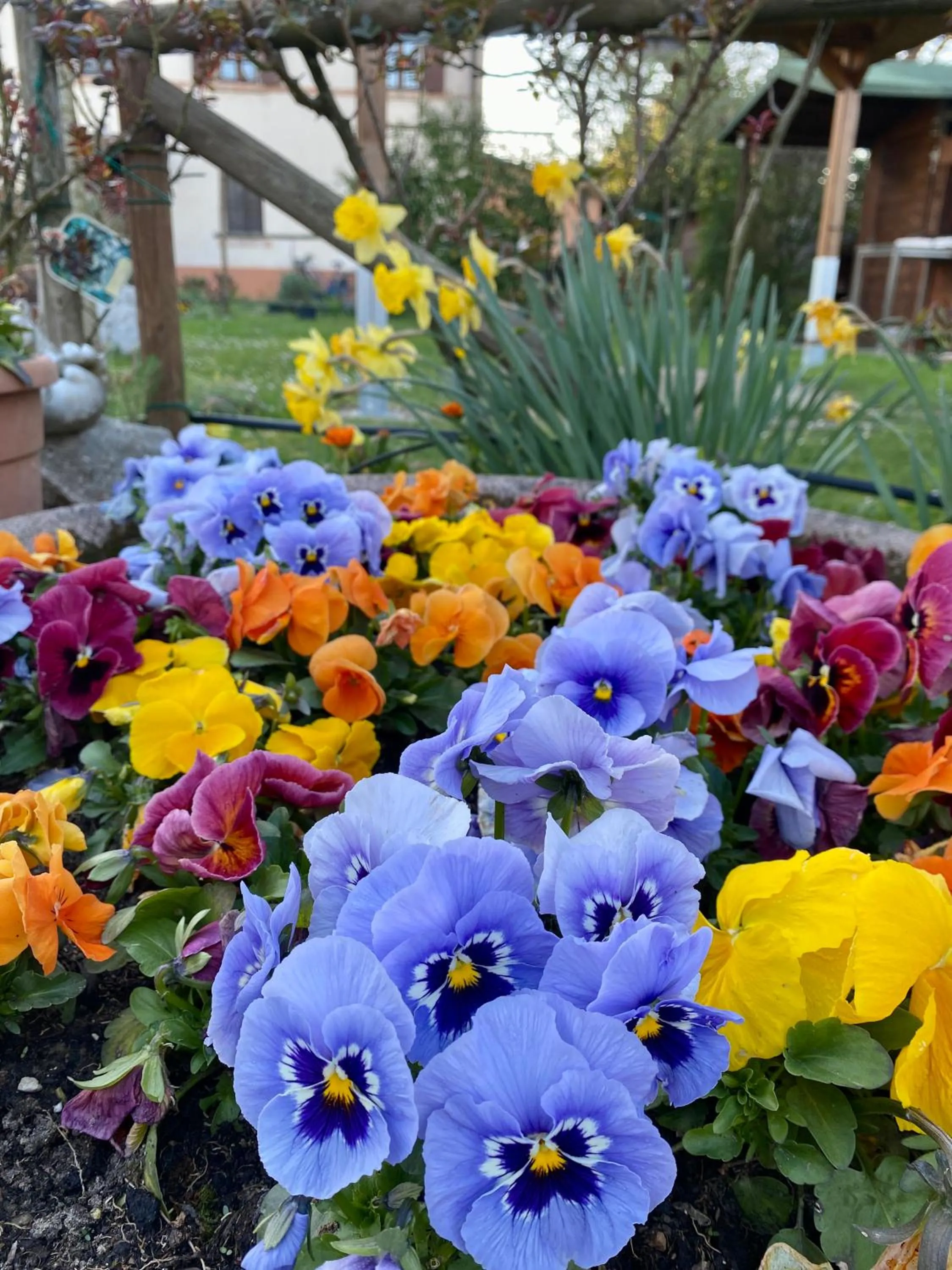 Garden in La Casa di Biba